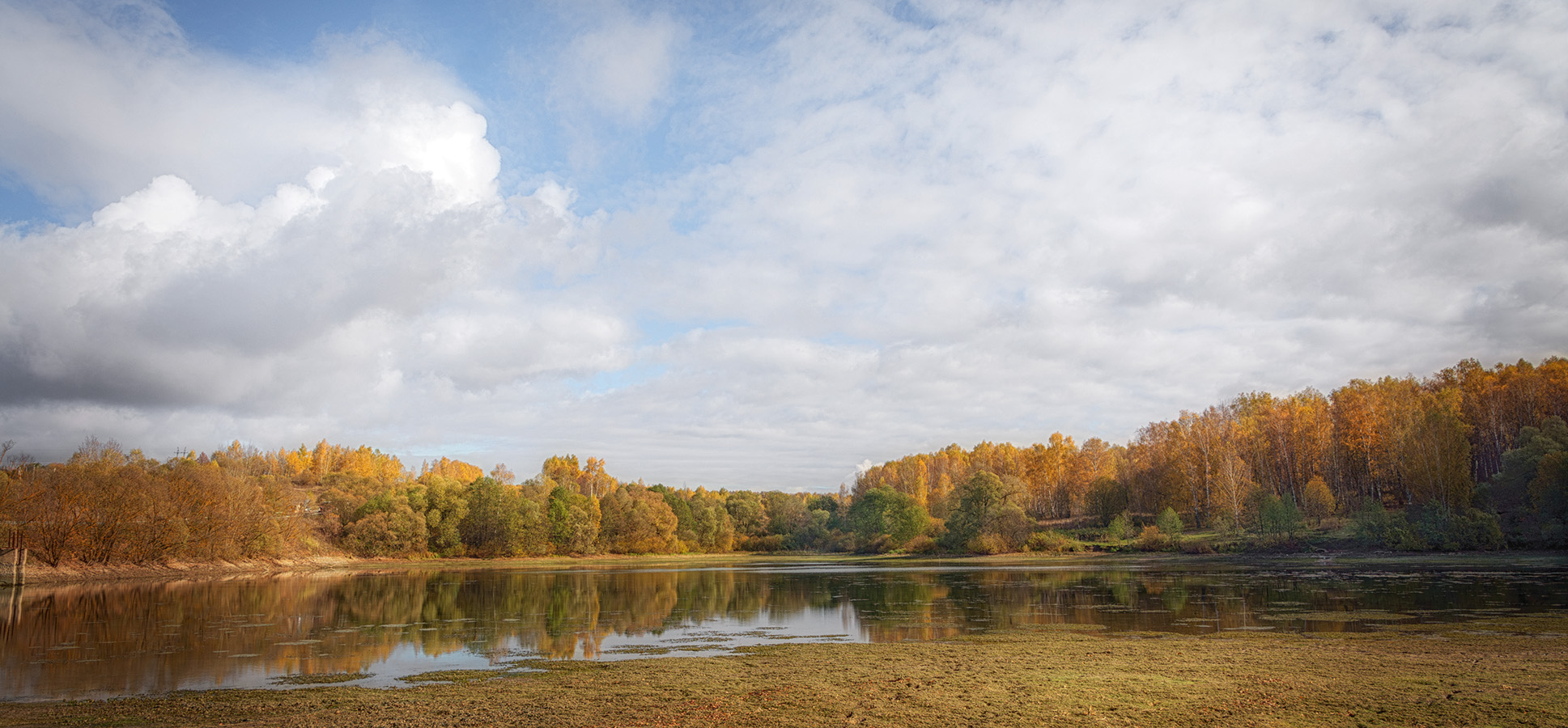 , Анатолий Зверев