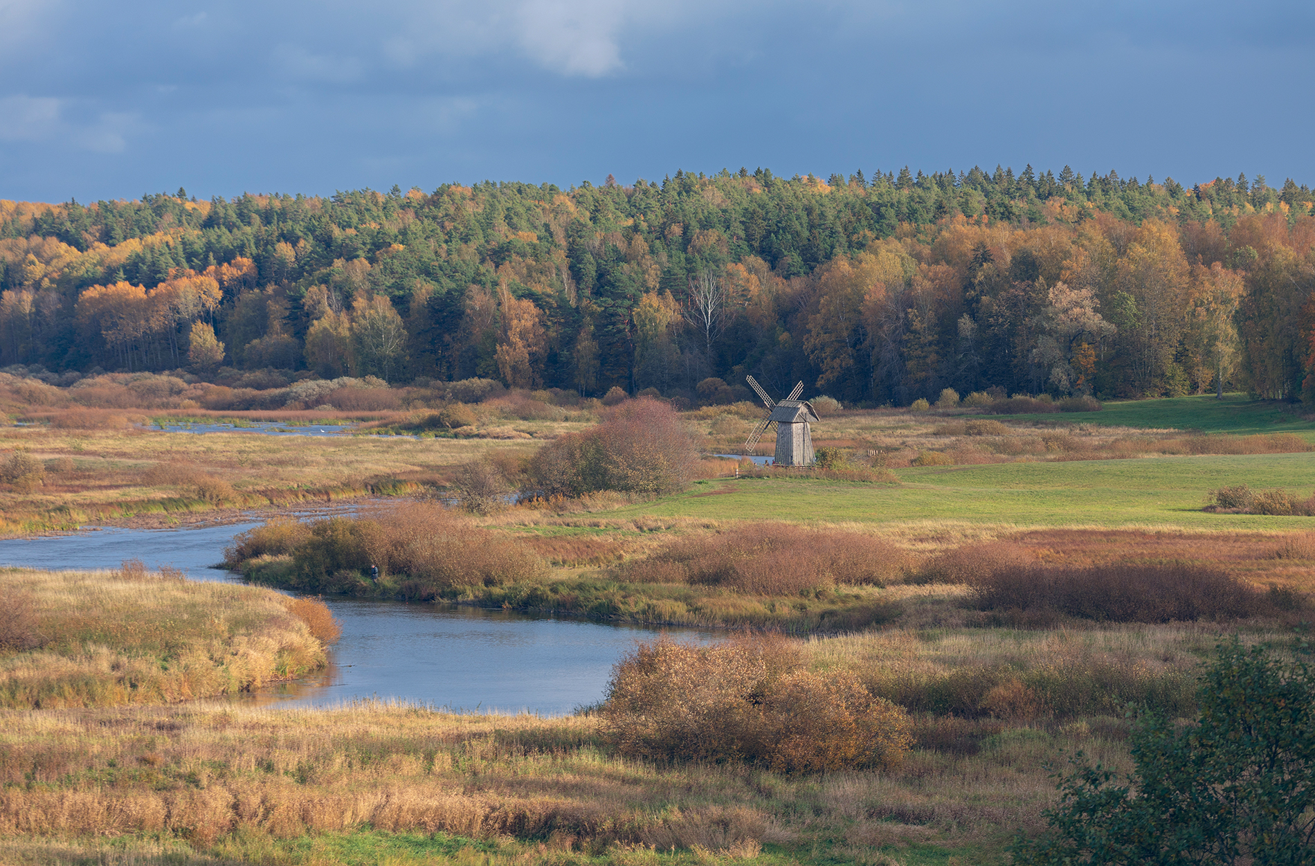 псковская область,савкина горка, Александр Смыков