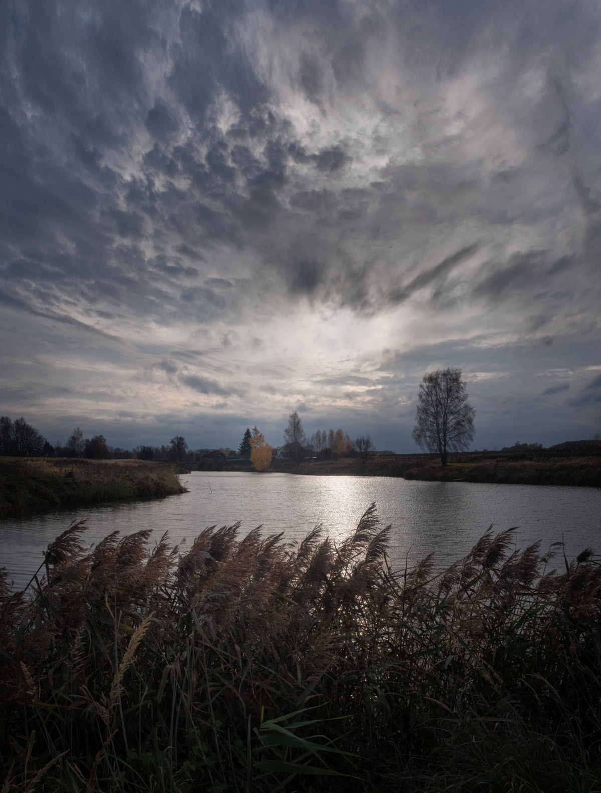 деревня, свет, день, природа, тульская обл., Баранов Олег