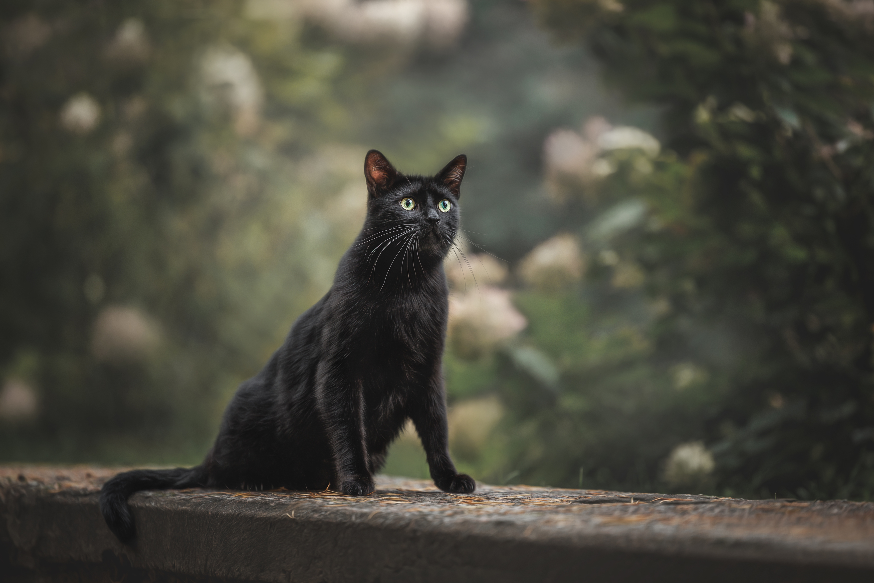 , Яна Нарбутович