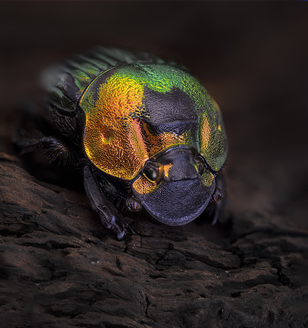 , Kavaliauskas Eugenijus