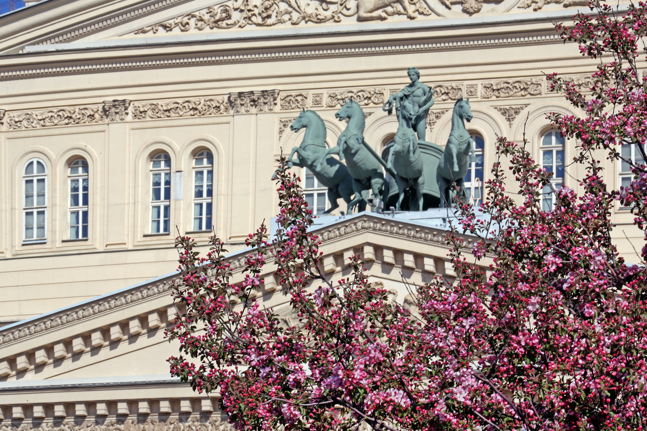 , Бибичков Михаил