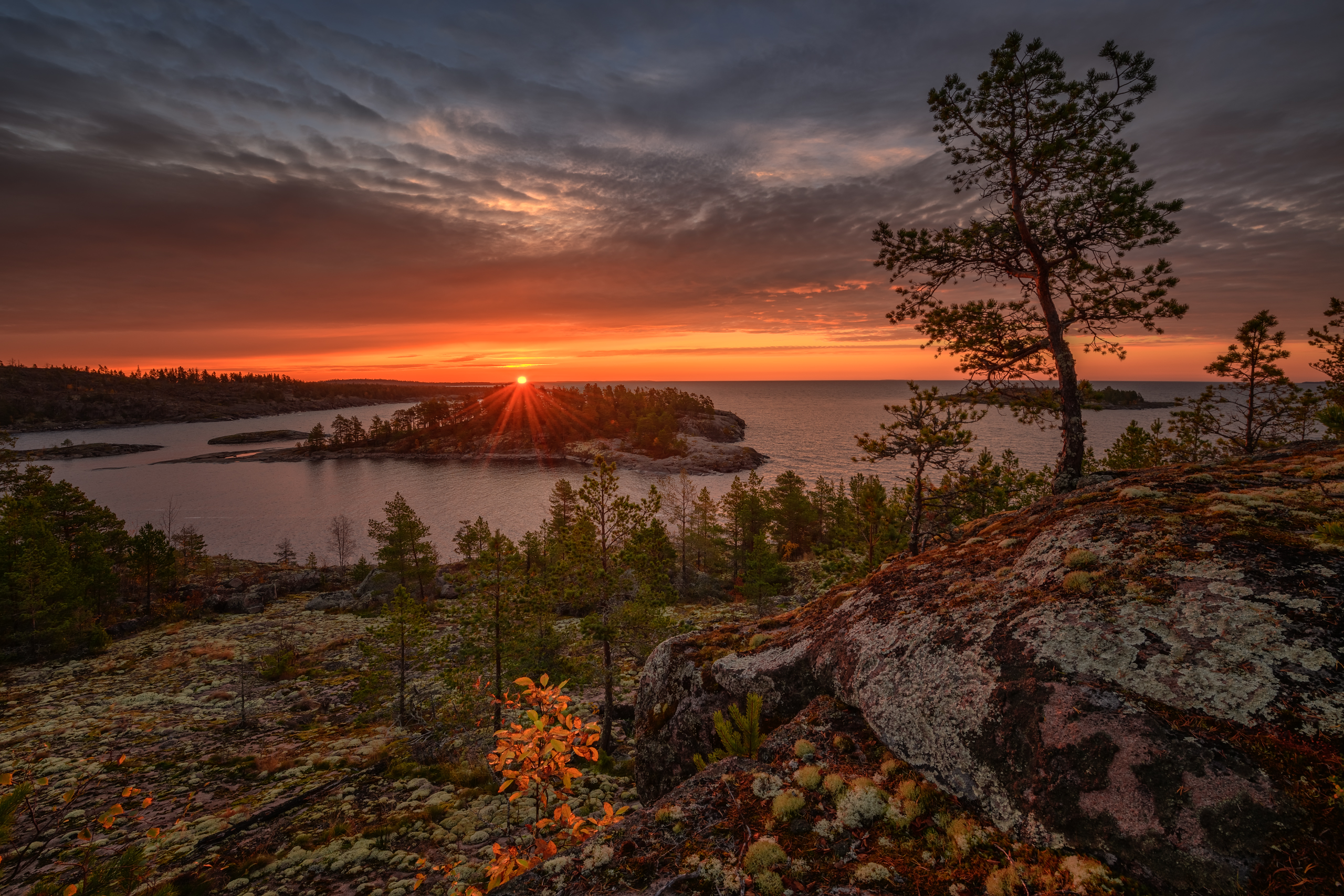 ладога, Евдокимов Максим