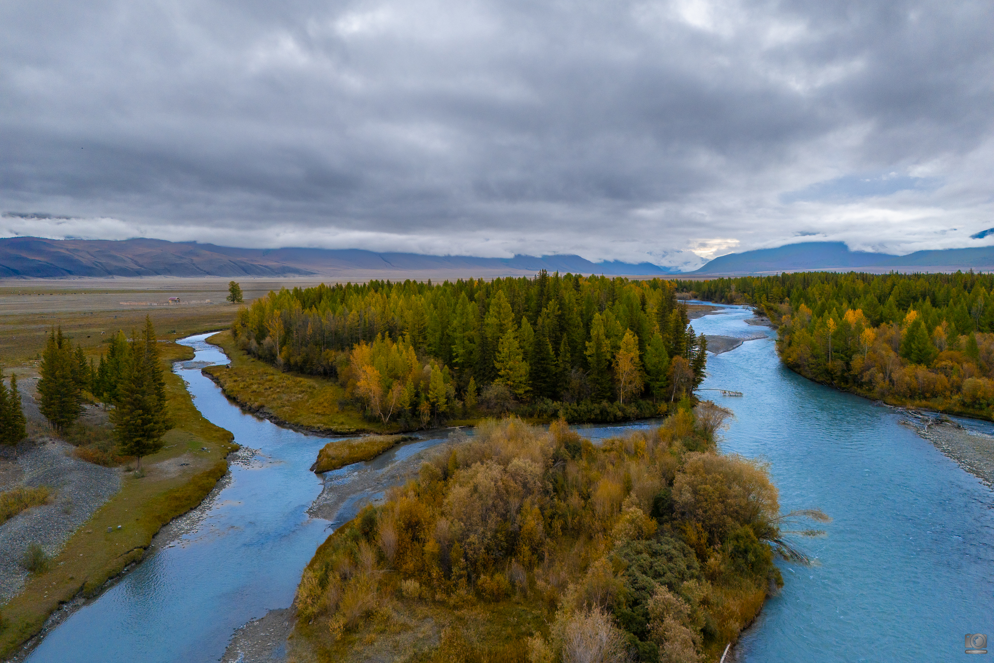 алтай, Dmitry Kovalev