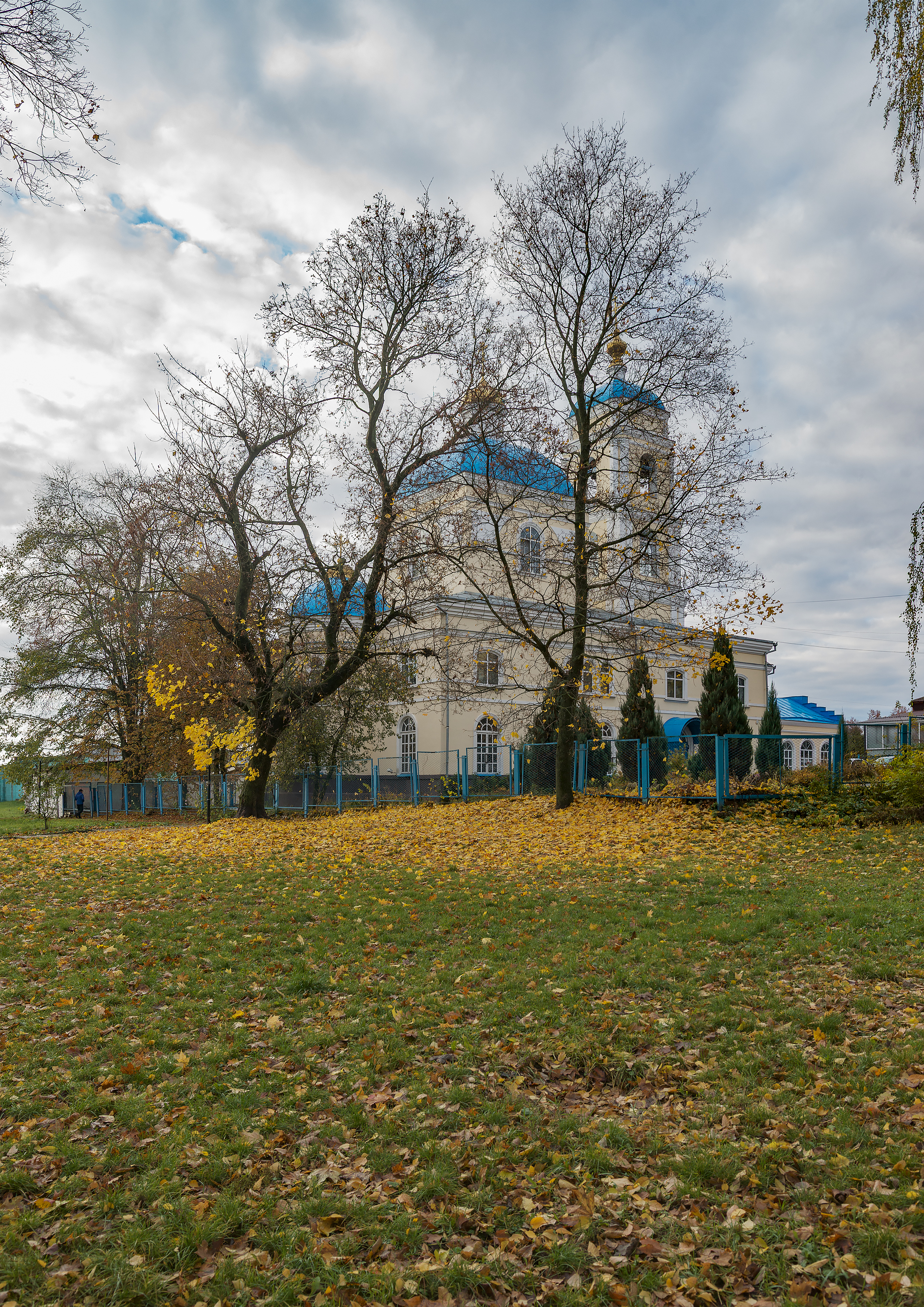 , Каменев Виталий