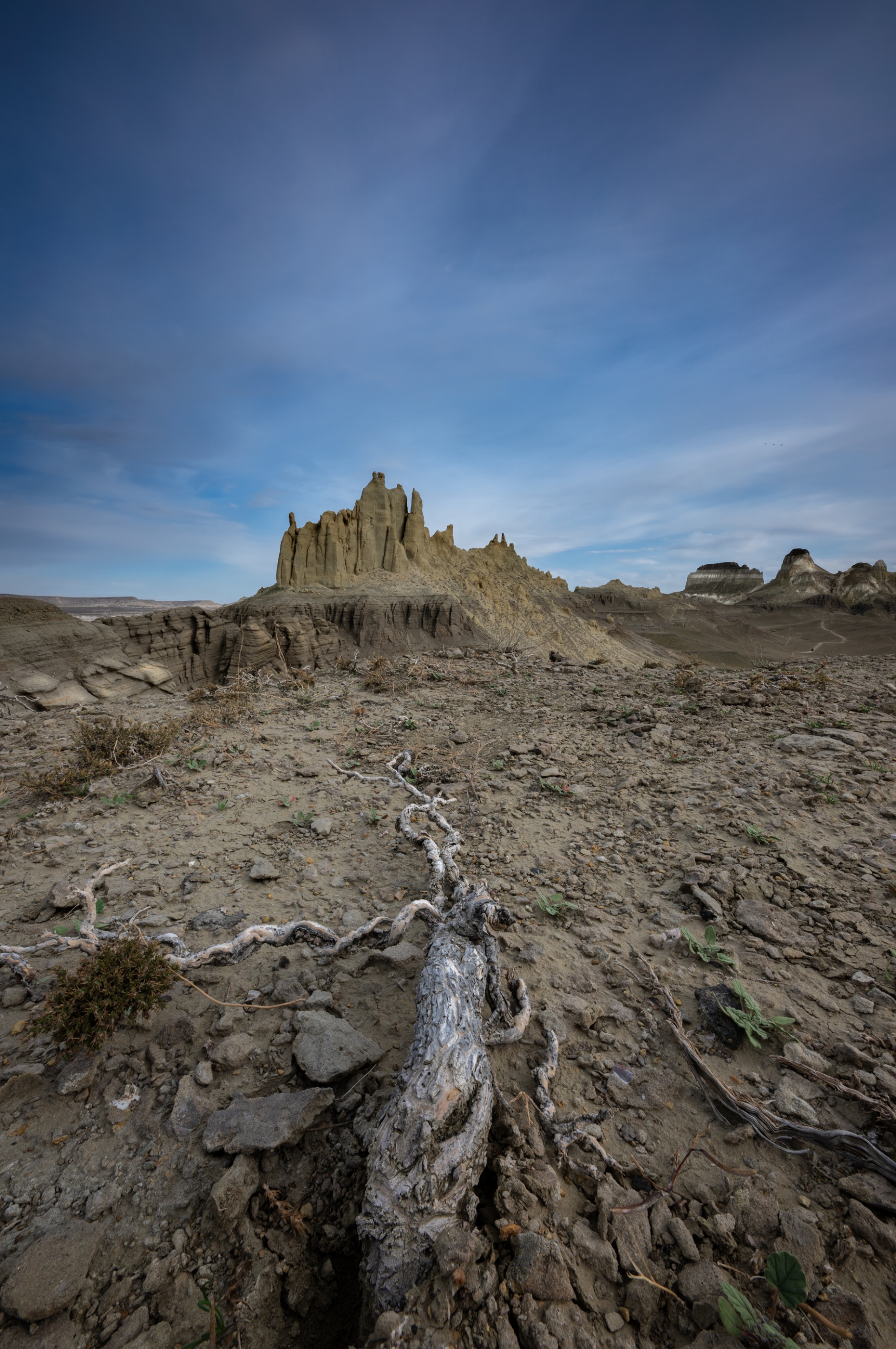 , Ширгин Сергей