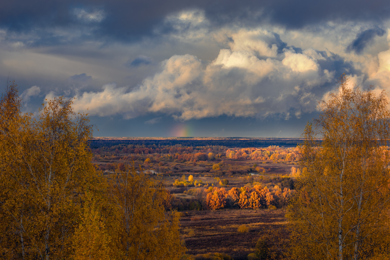 пейзаж осень октябрь быковка вязники, Алексеев Дмитрий