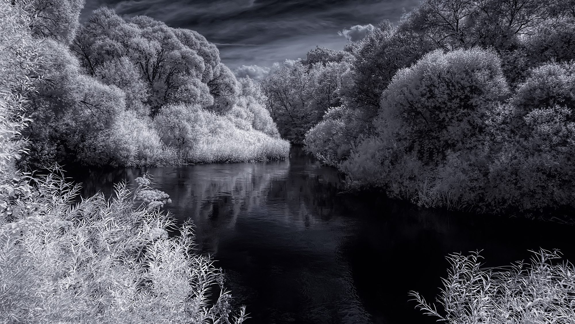 infrared, ик-фото, инфракрасное фото, инфракрасная фотография, пейзаж, лето,  Sixten (Сергей)