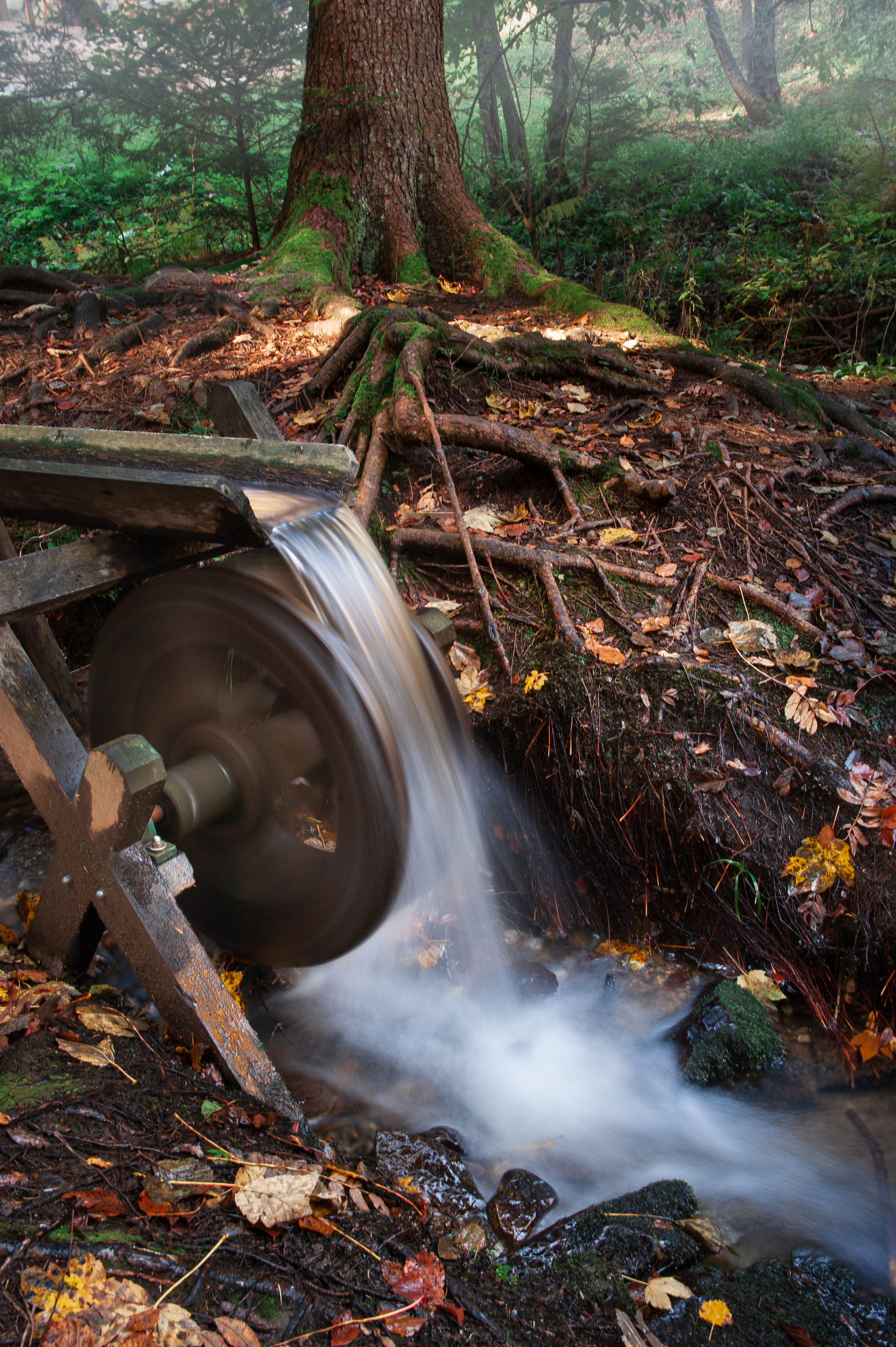 ручей лес вода дерево мельница, Andrei