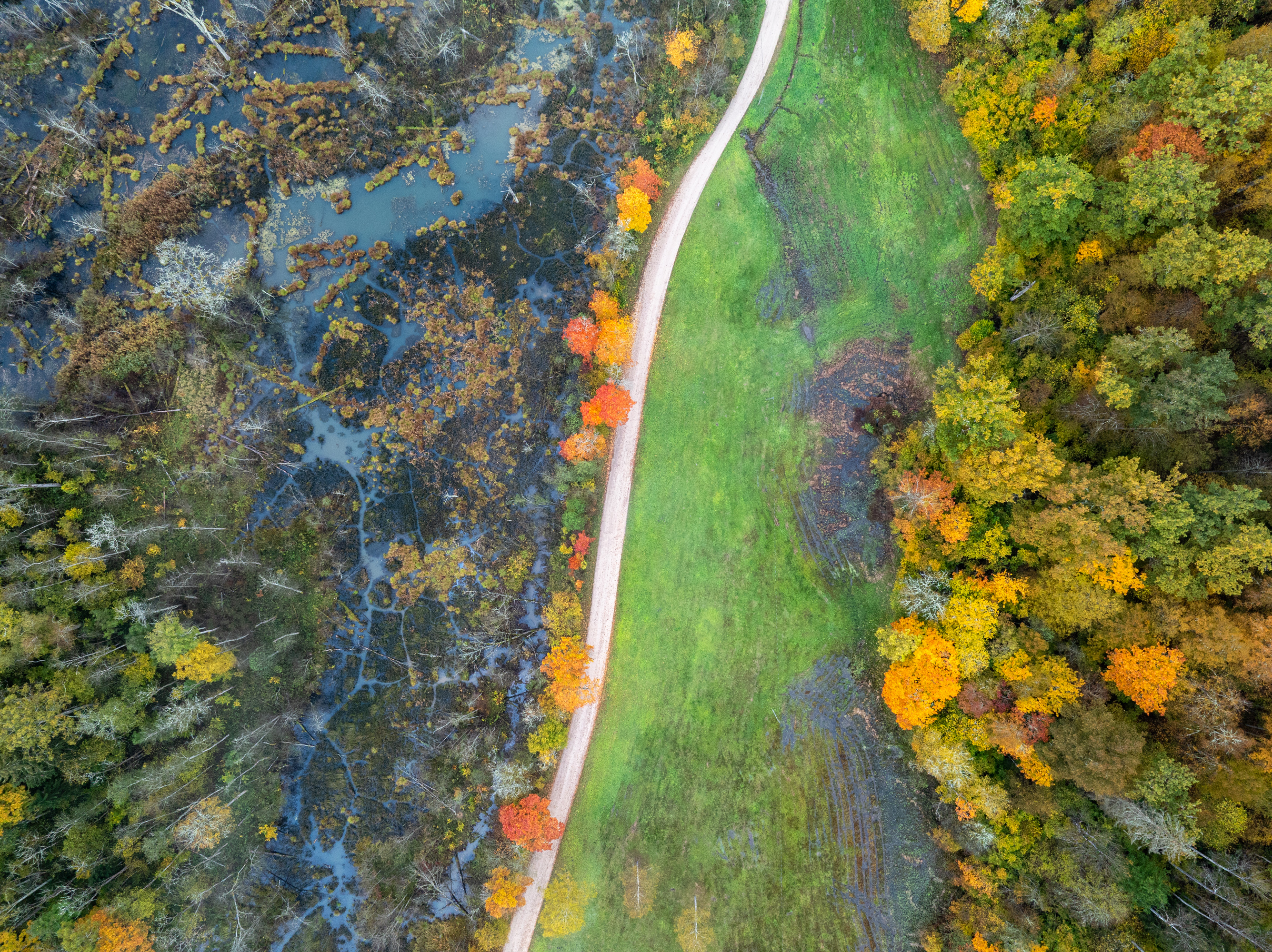 , Гордон Николай