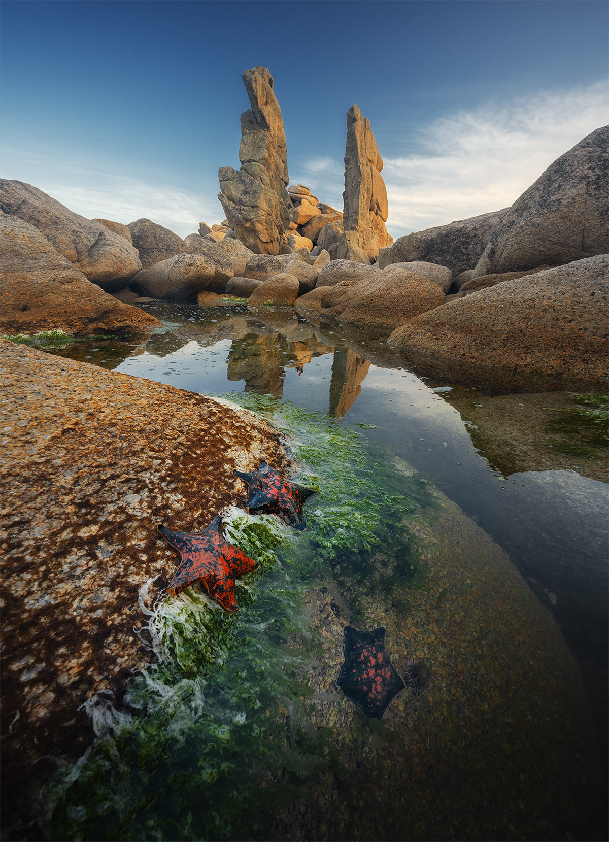 , Андрей Родионов