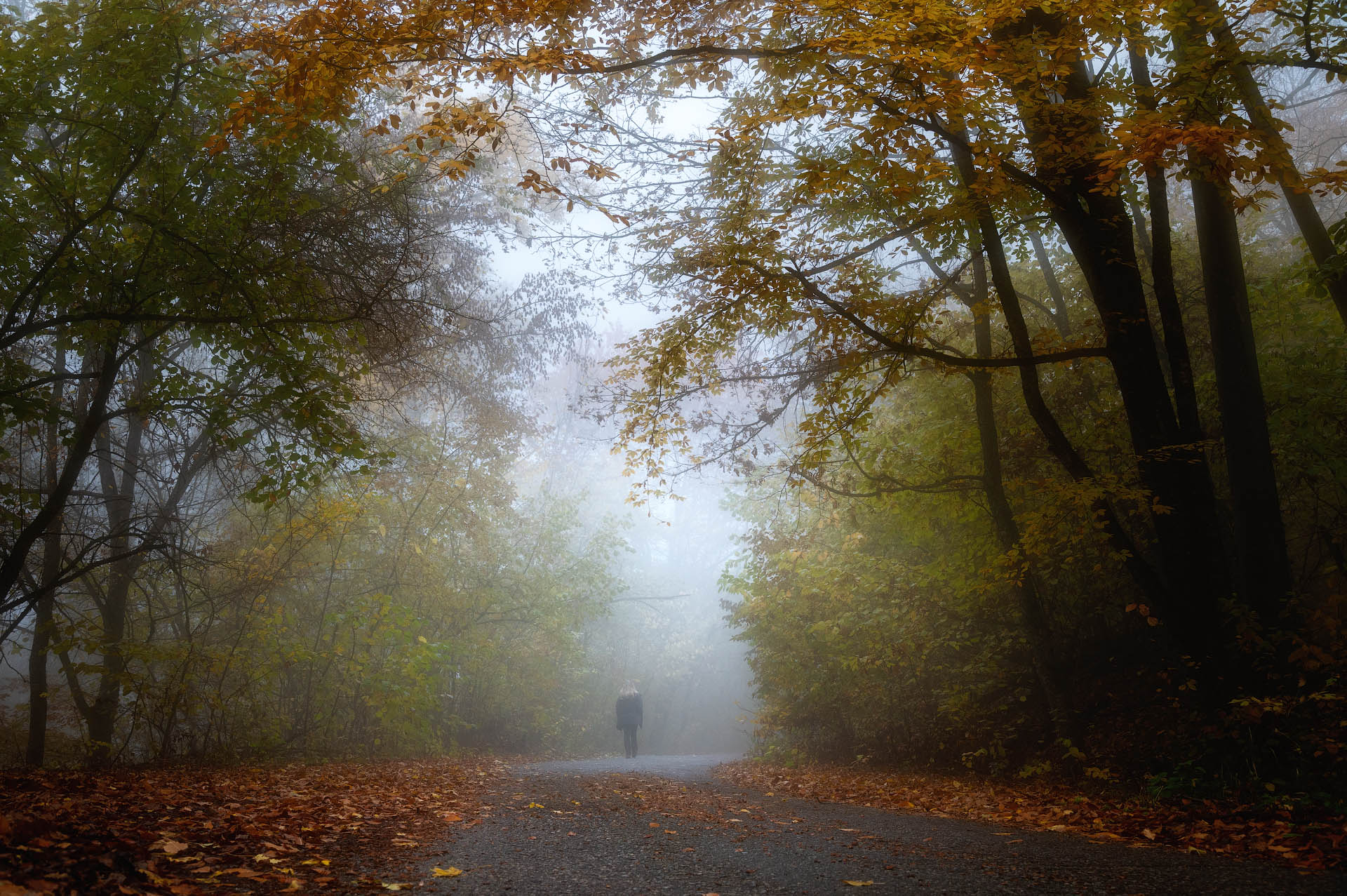 , Шевченко Юрий
