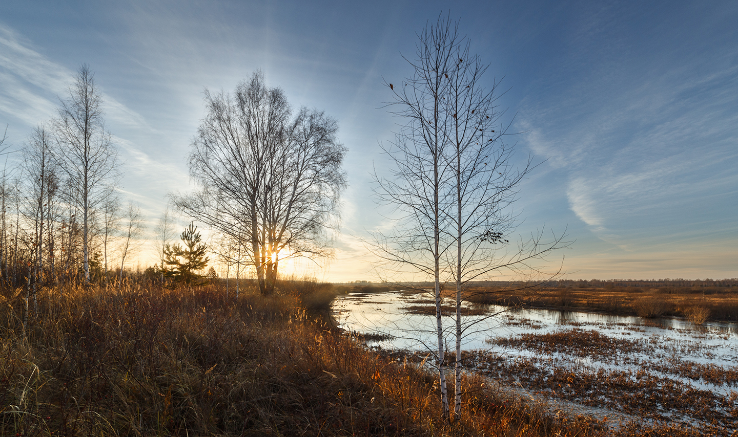 осень, октябрь, березы, водоем, поля, закат,  Гобова Наталья