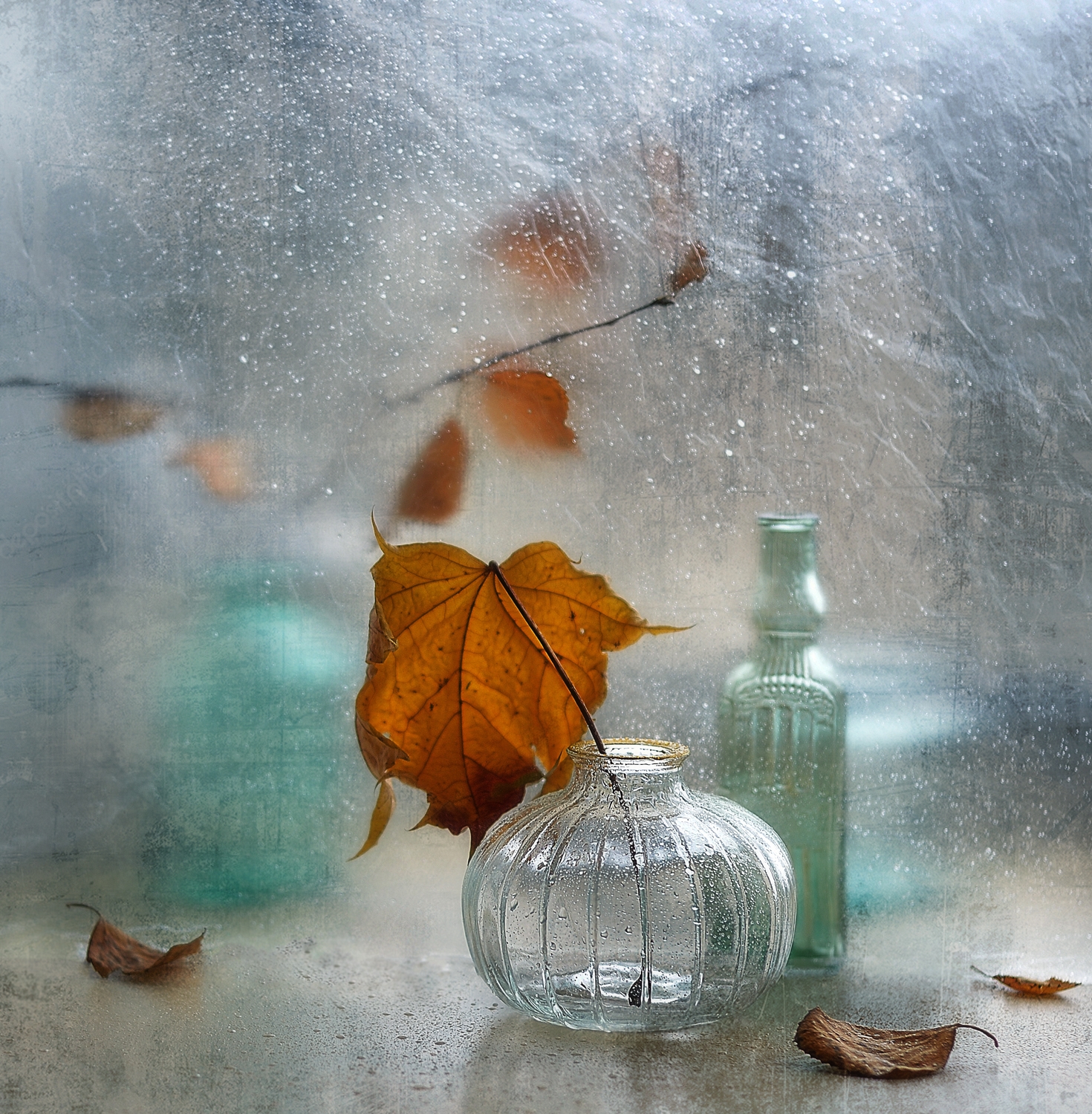 натюрморт,осень,листья,стекло, Наталия К