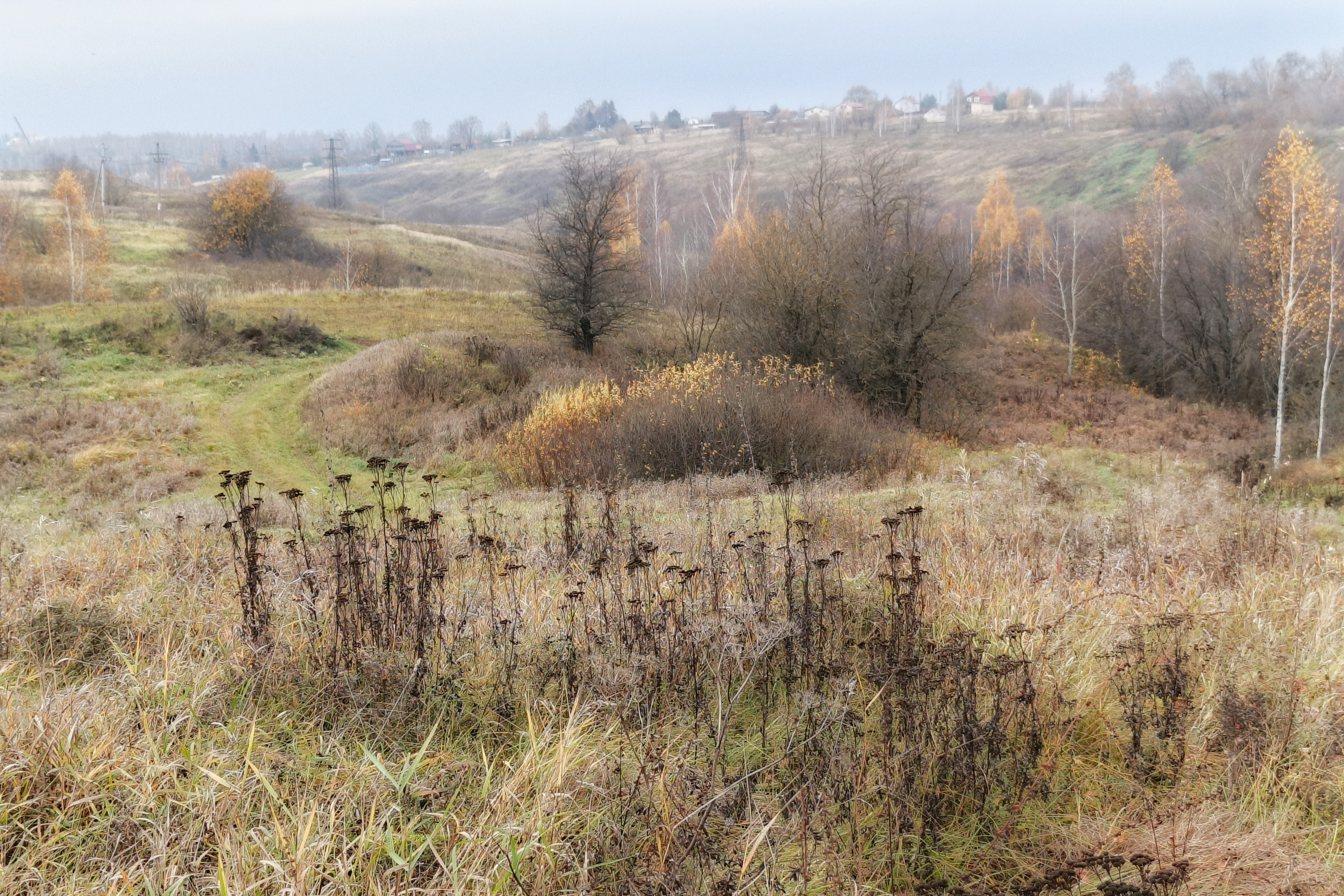 , Кондрашова Светлана