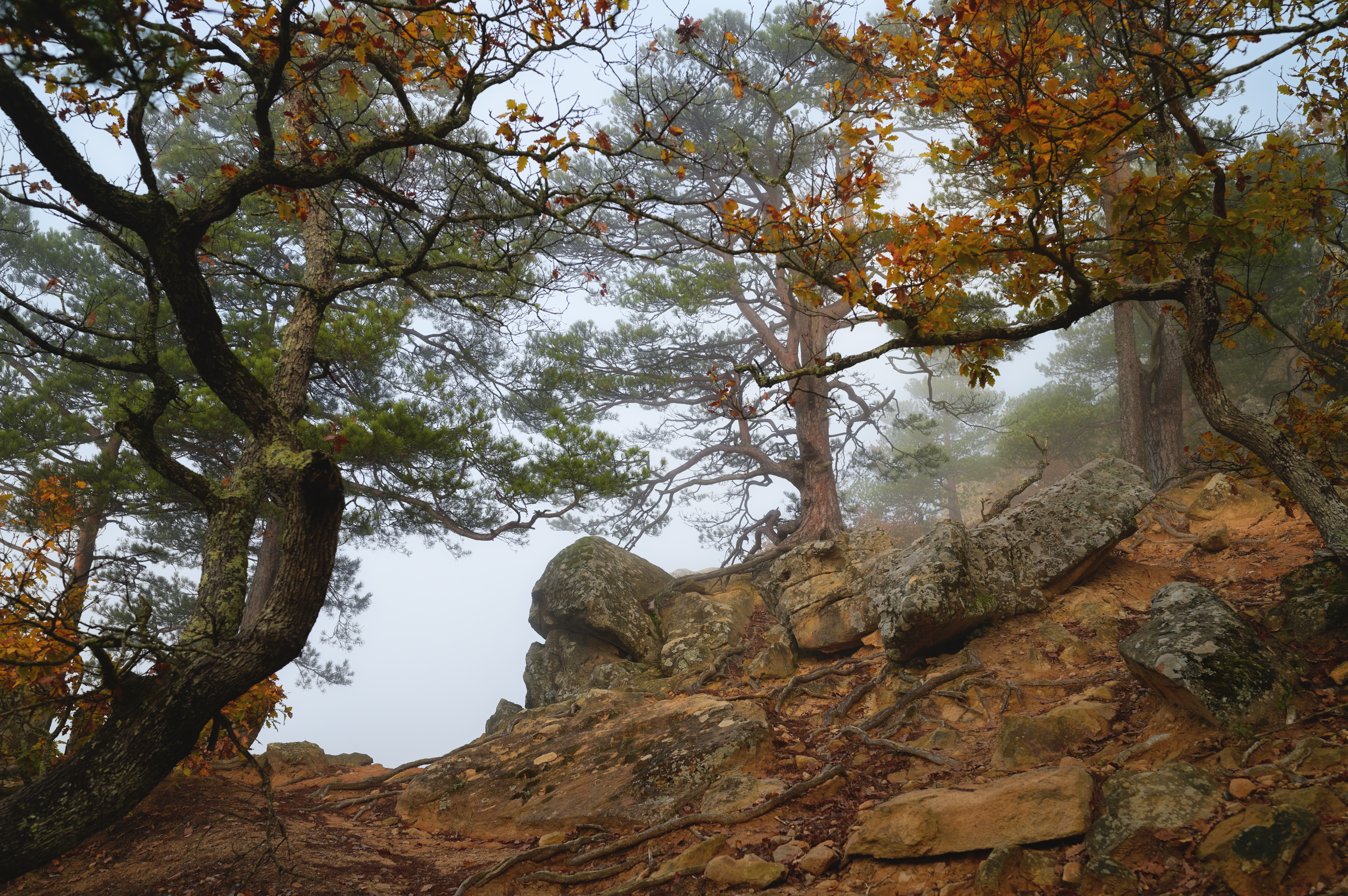 , Сергей Тихомиров