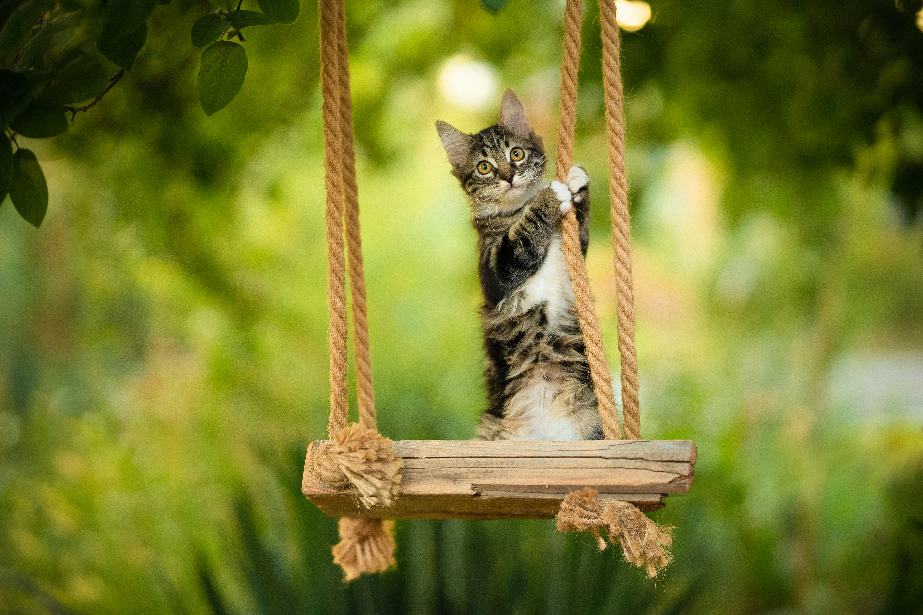 , Коротун Юрий