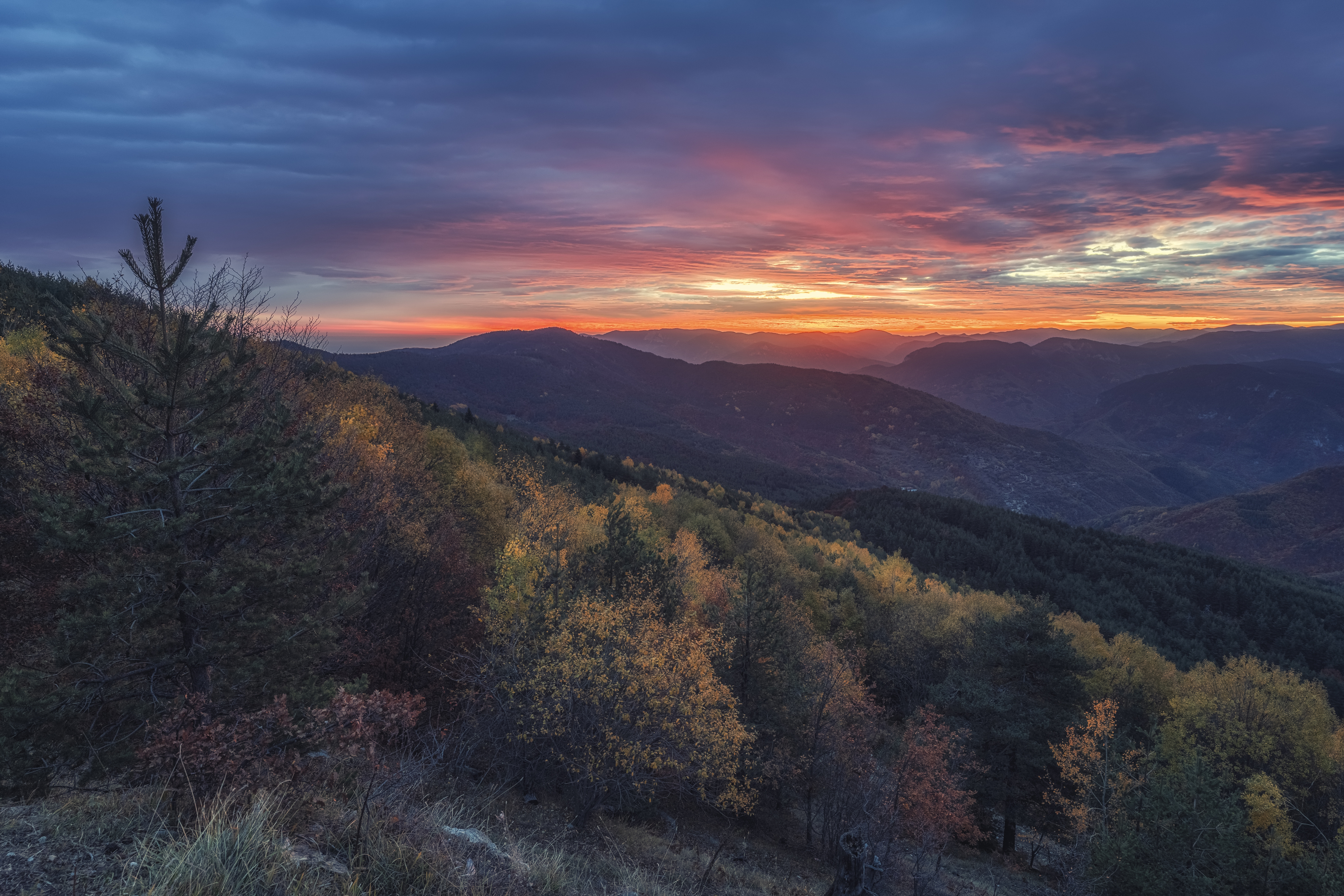 , Маджаров Костадин