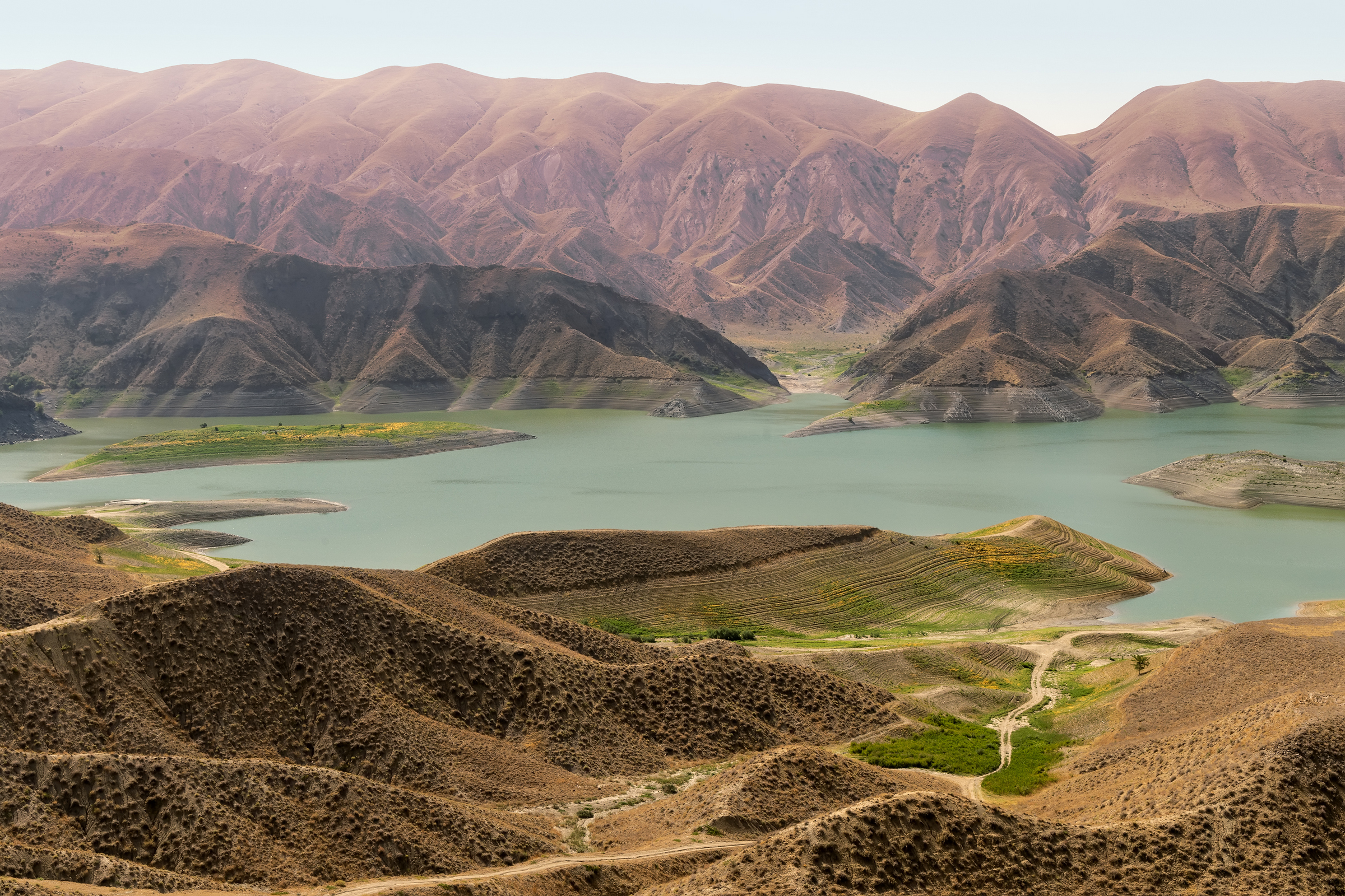 , Алексей Гурьев