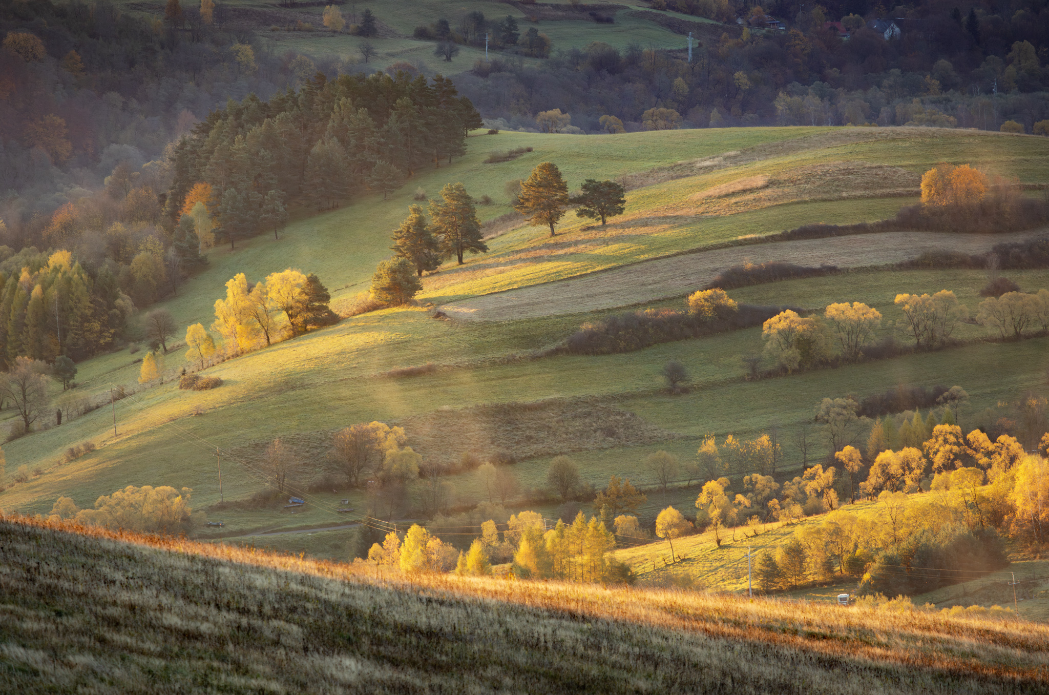 ,  Mirosław Pruchnicki