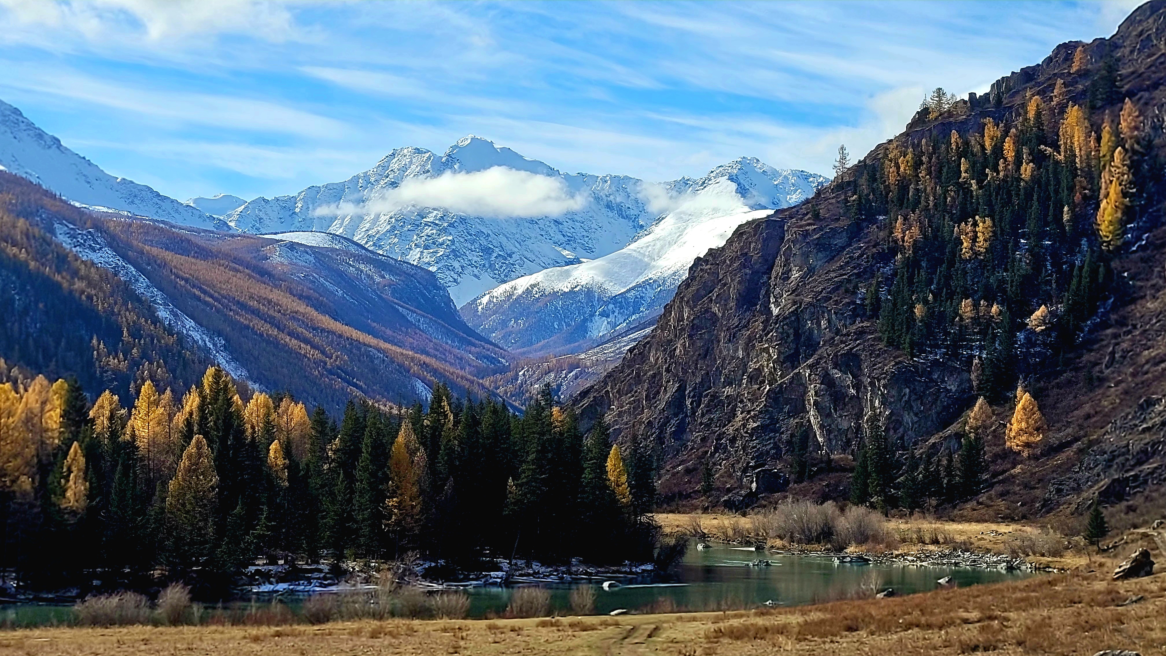 , Владимир Каверин