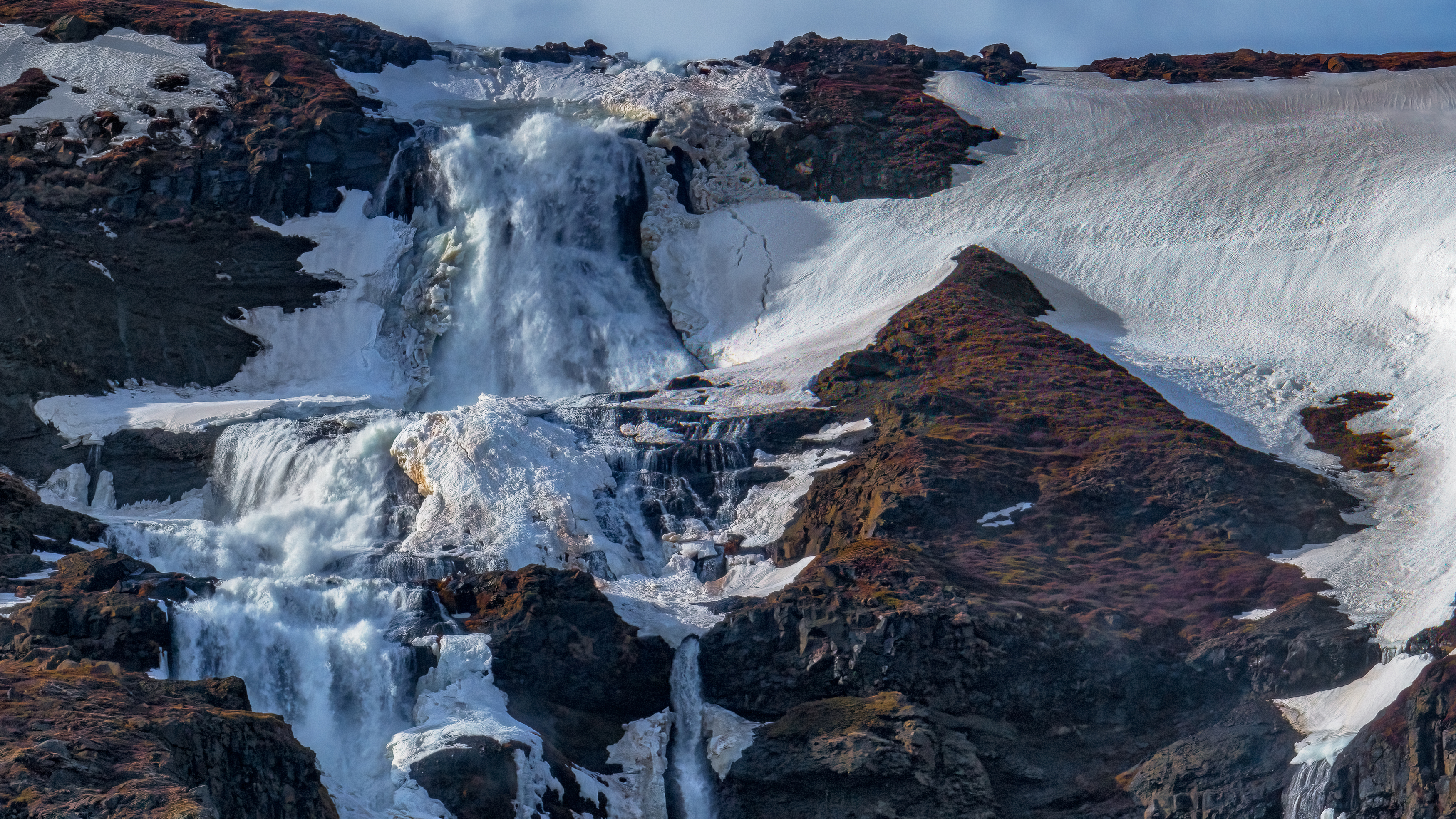 , Шварцман Евгений