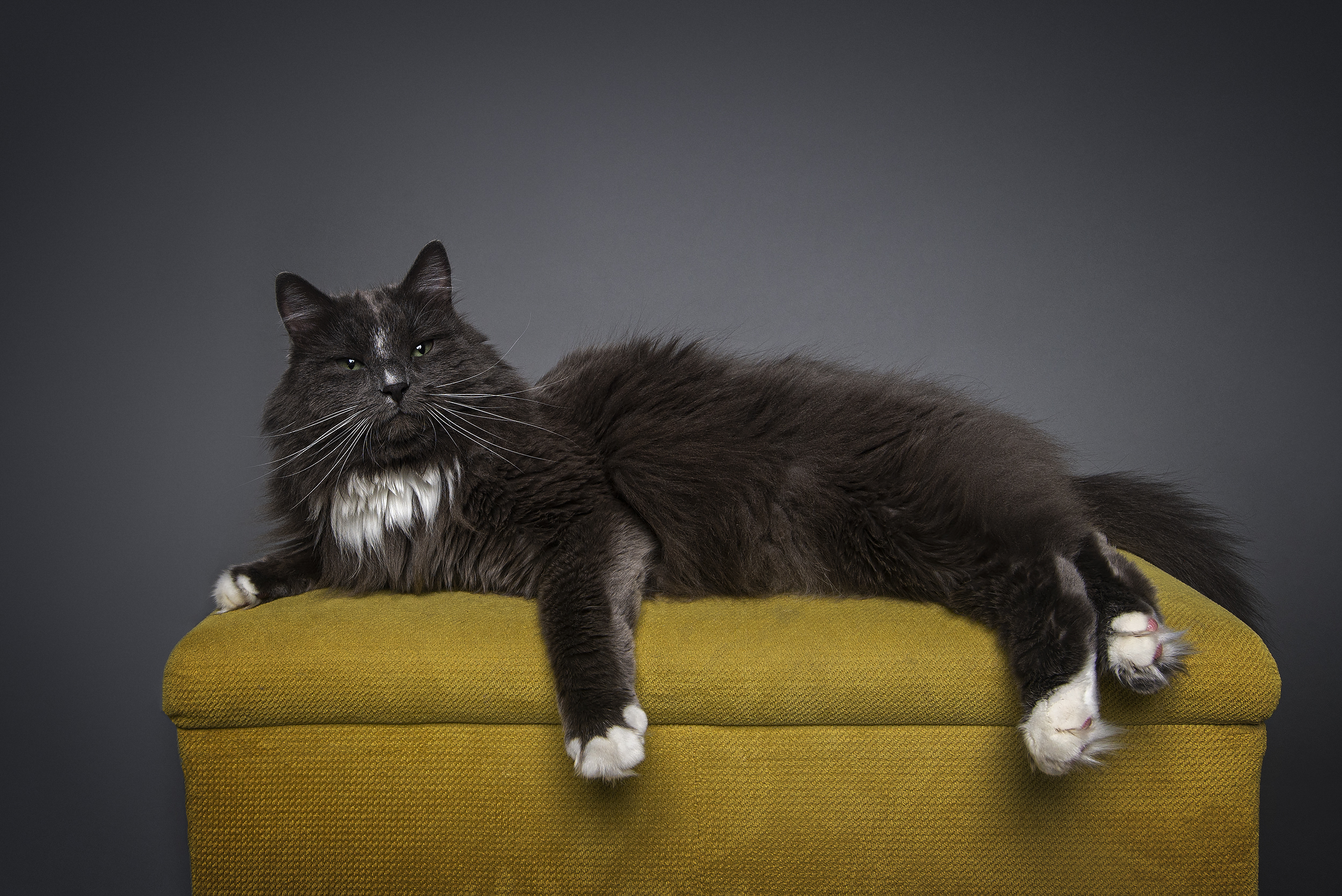 , Гончар Юлия