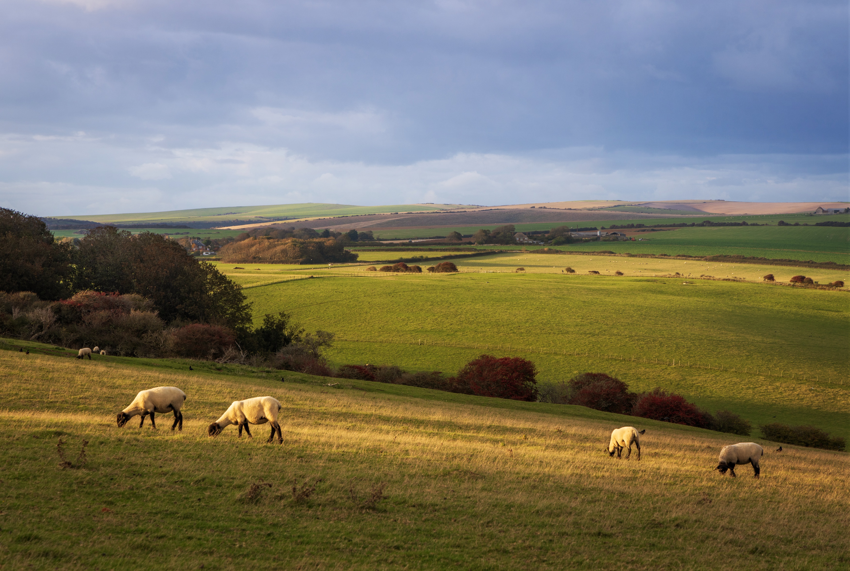 , Алекс Римский