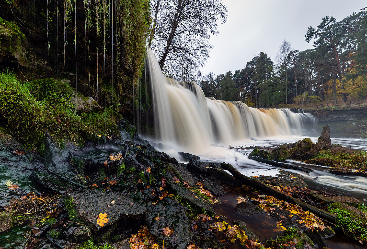 , Абросимов Александр
