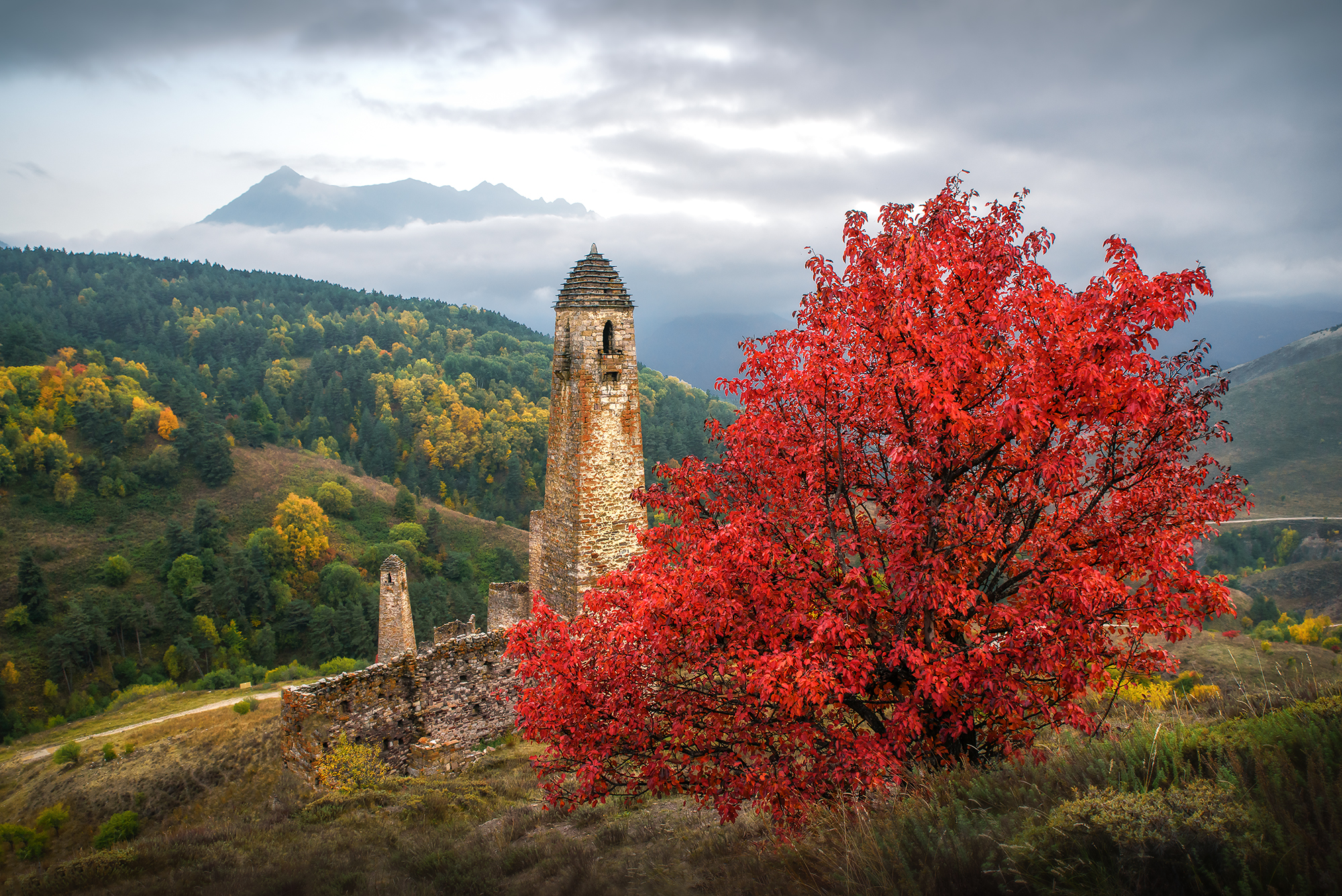 кавказ, горы, ингушетия, пялинг, башня, башни, осень в горах, осень, осенний пейзаж, архитектура, краски осени, Zakharov Armen