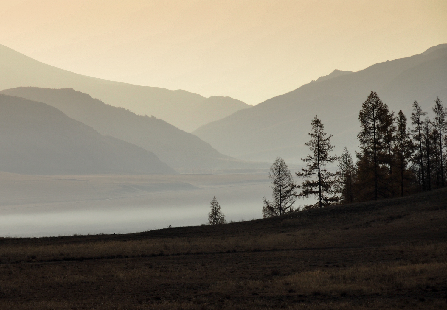 Курай, Алтай, Галина Хвостенко
