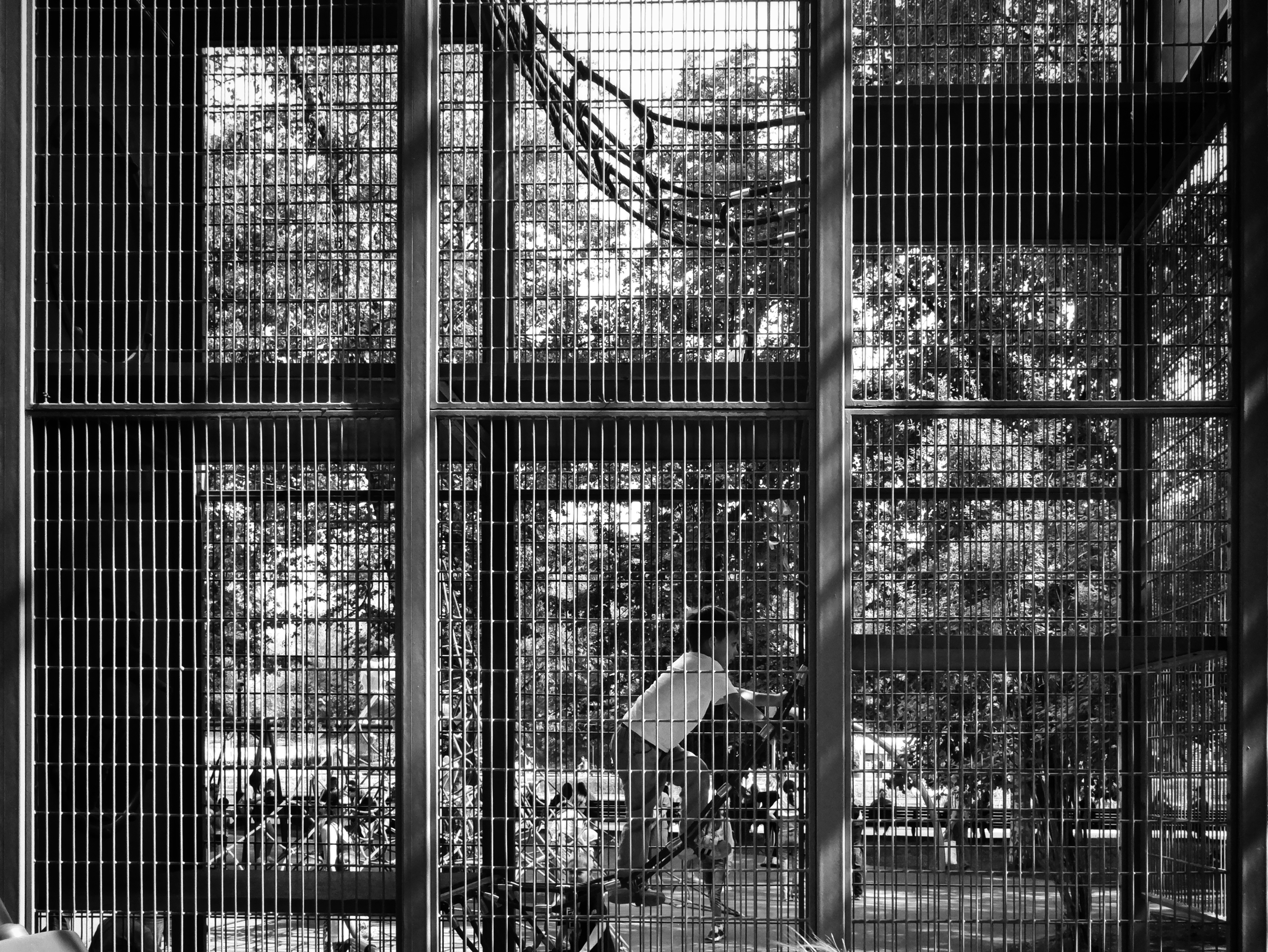 клетка, защита, ребенок, Зорин Миша