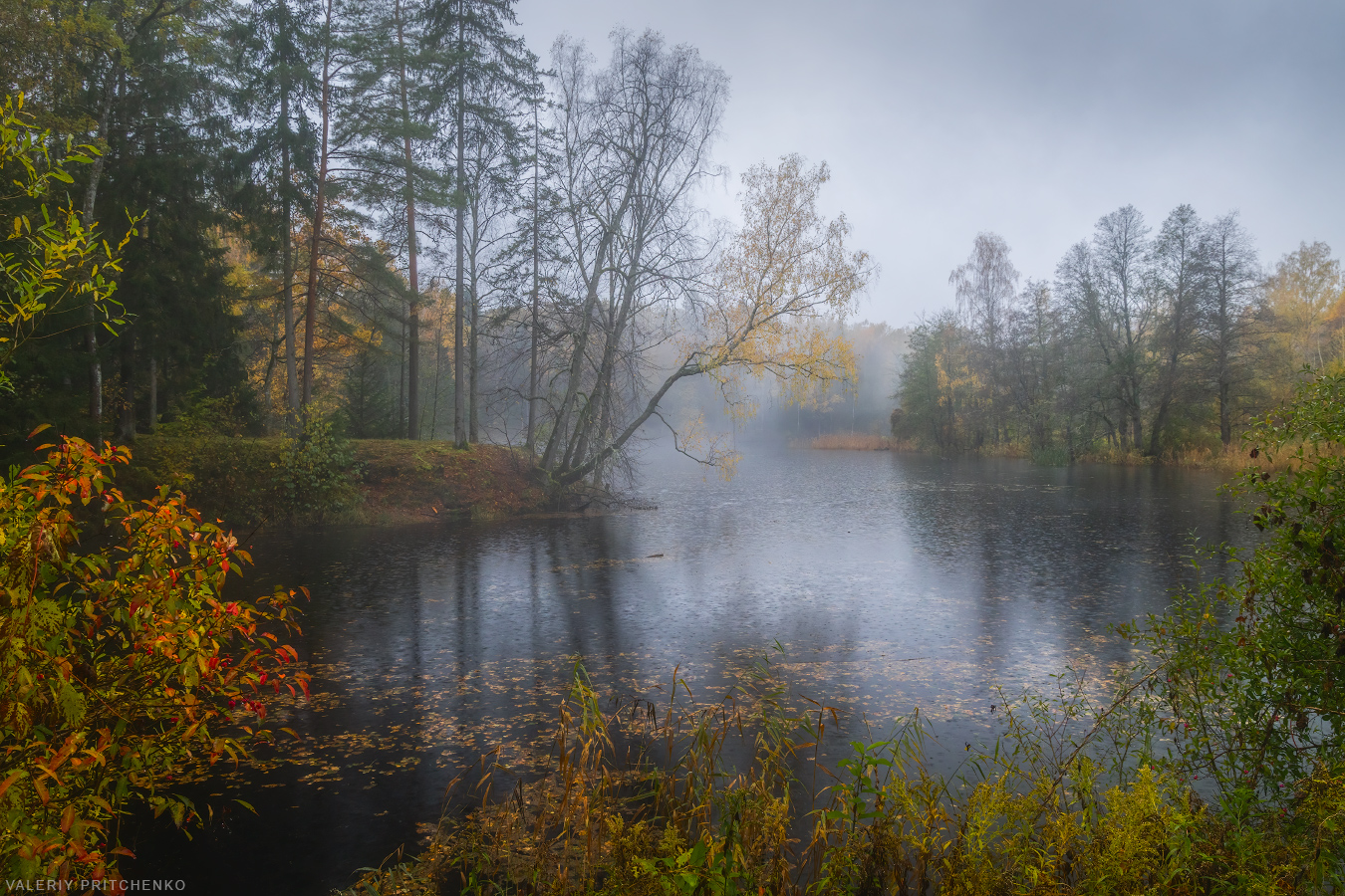 , Валерий Притченко