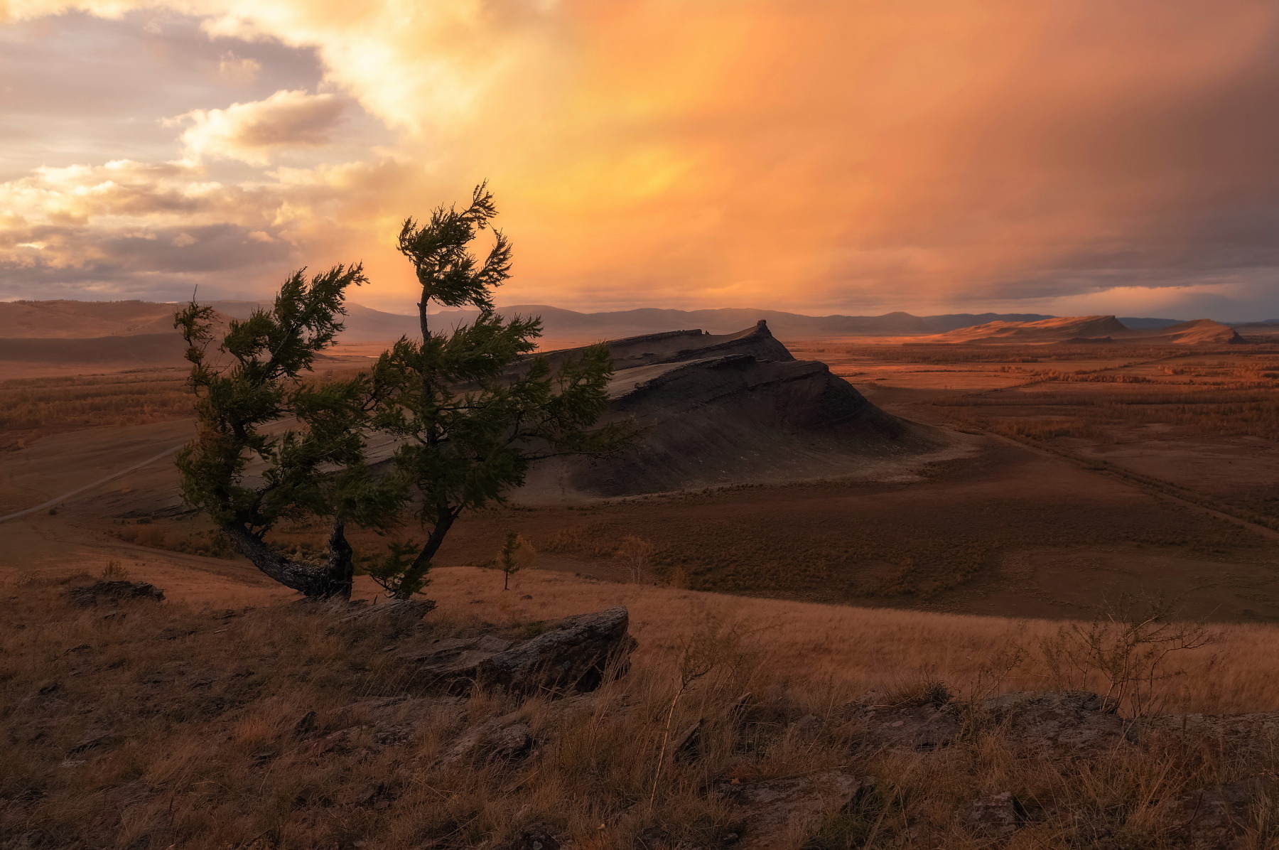 хакасия, сундуки, закат, сосна, вечер, Марина Фомина