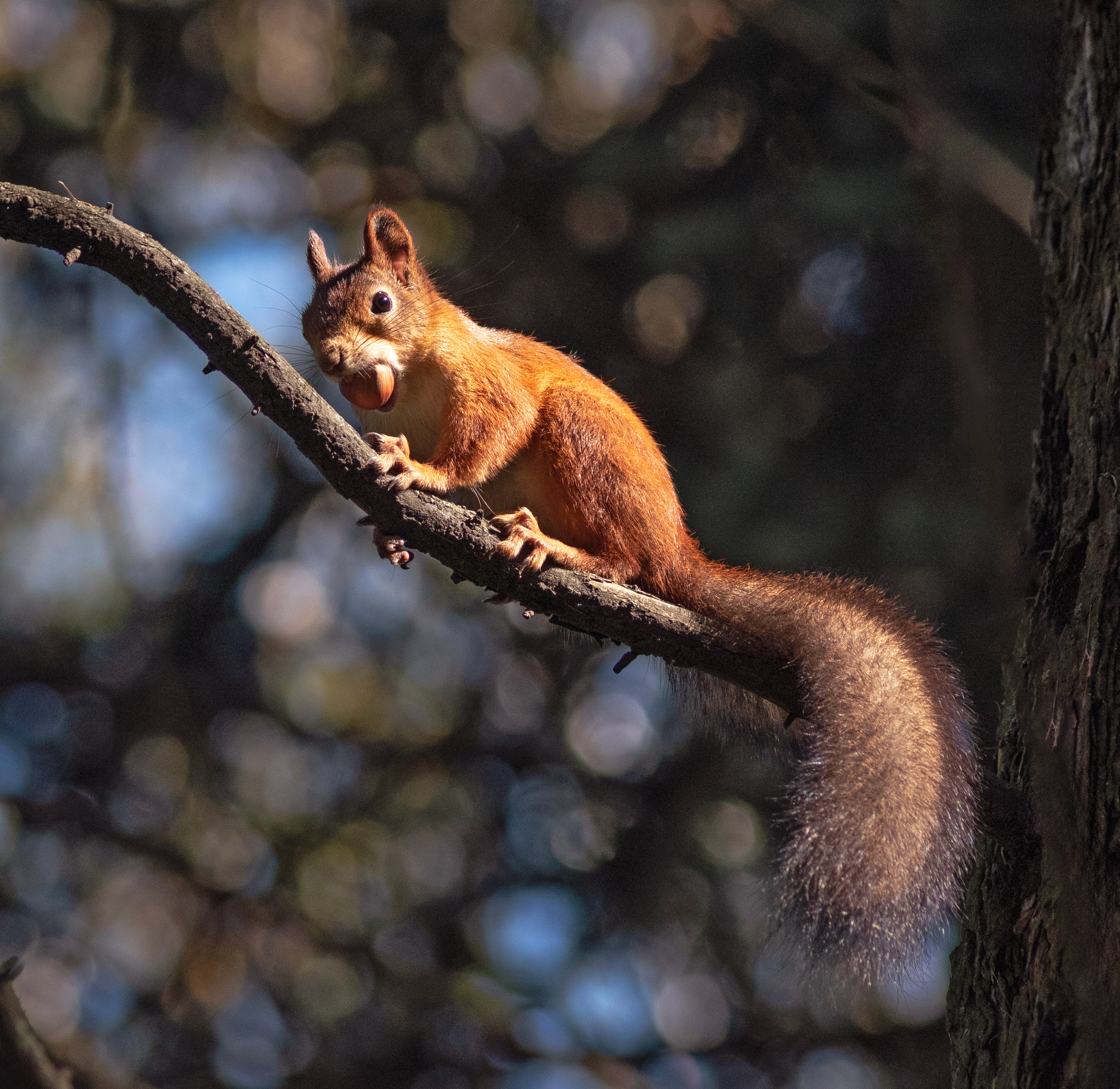 , Куликова Ирина