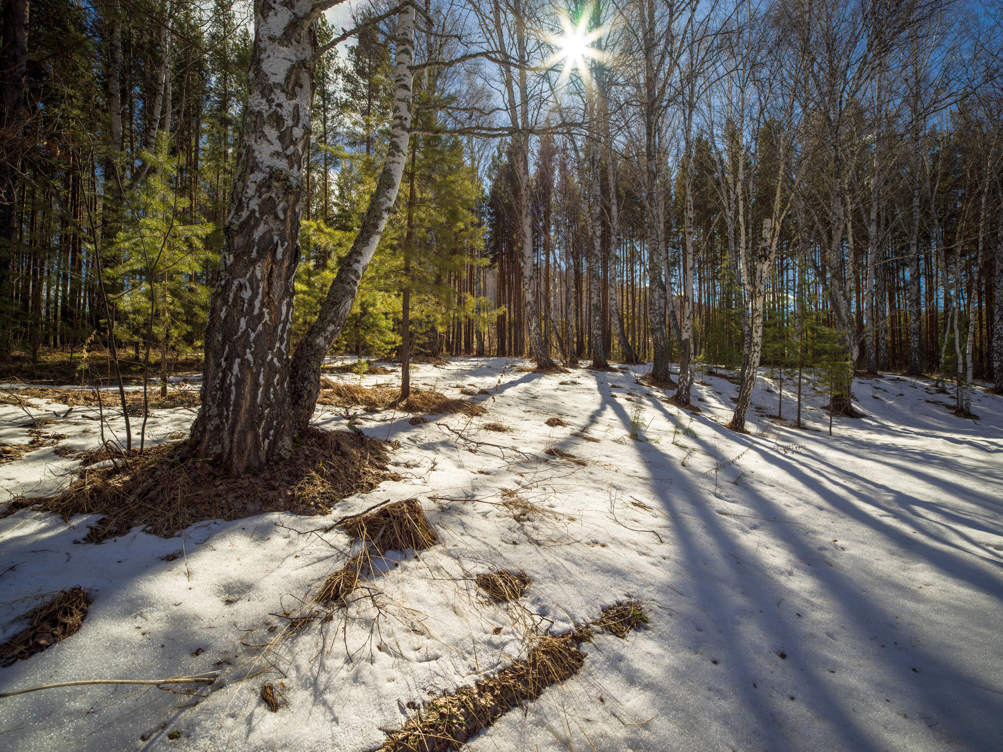 , Шустиков Дмитрий