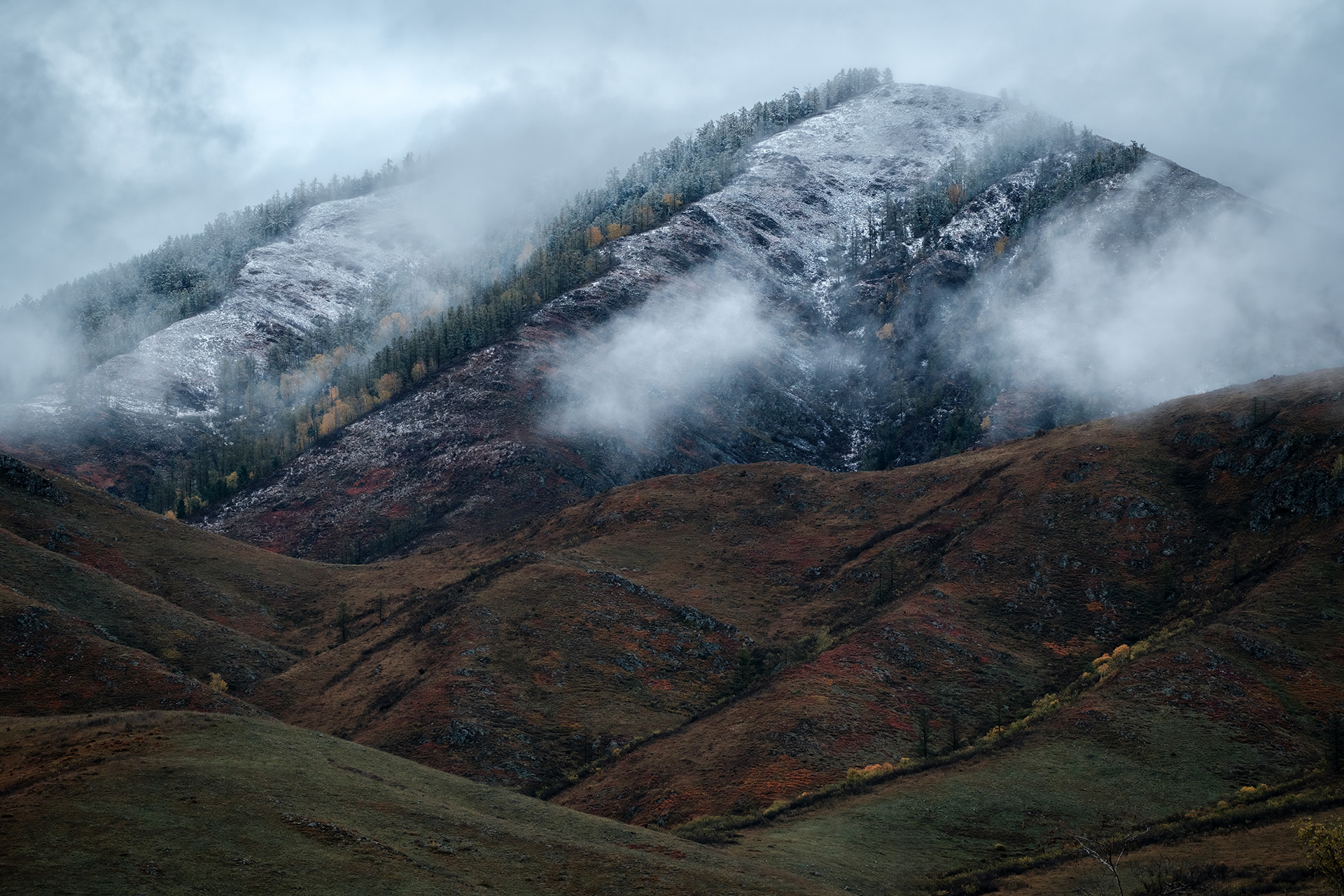 , Бодрягин Виталий