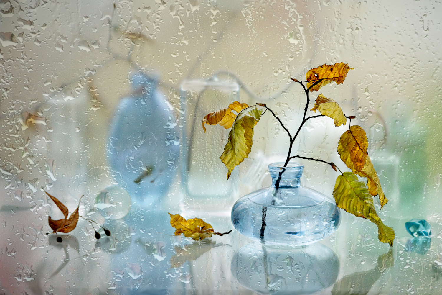 натюрморт, осень, ветка, бутылка, ваза, стекло, Шруб (Беляева) Татьяна