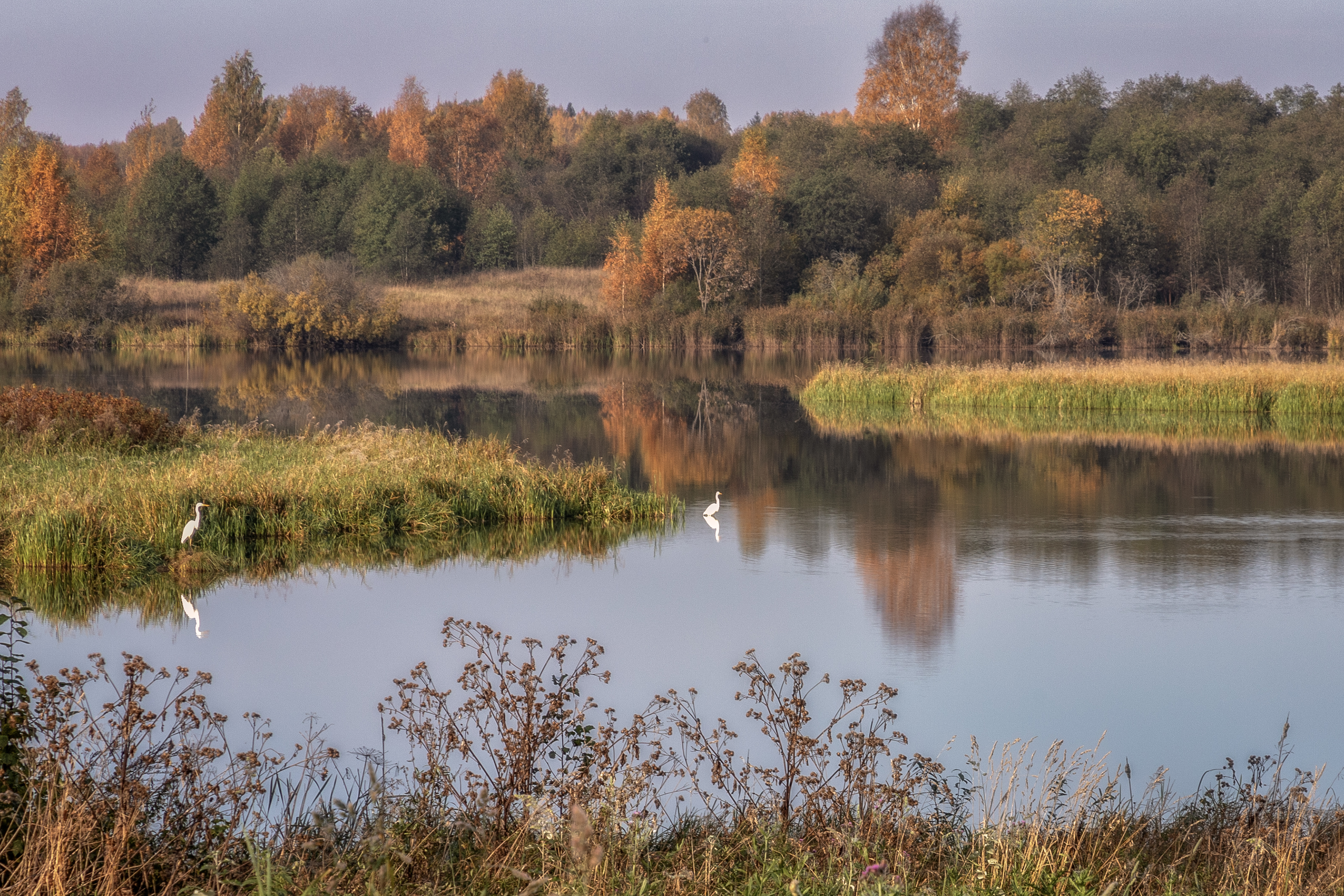 Тверская область, Гусева Елена