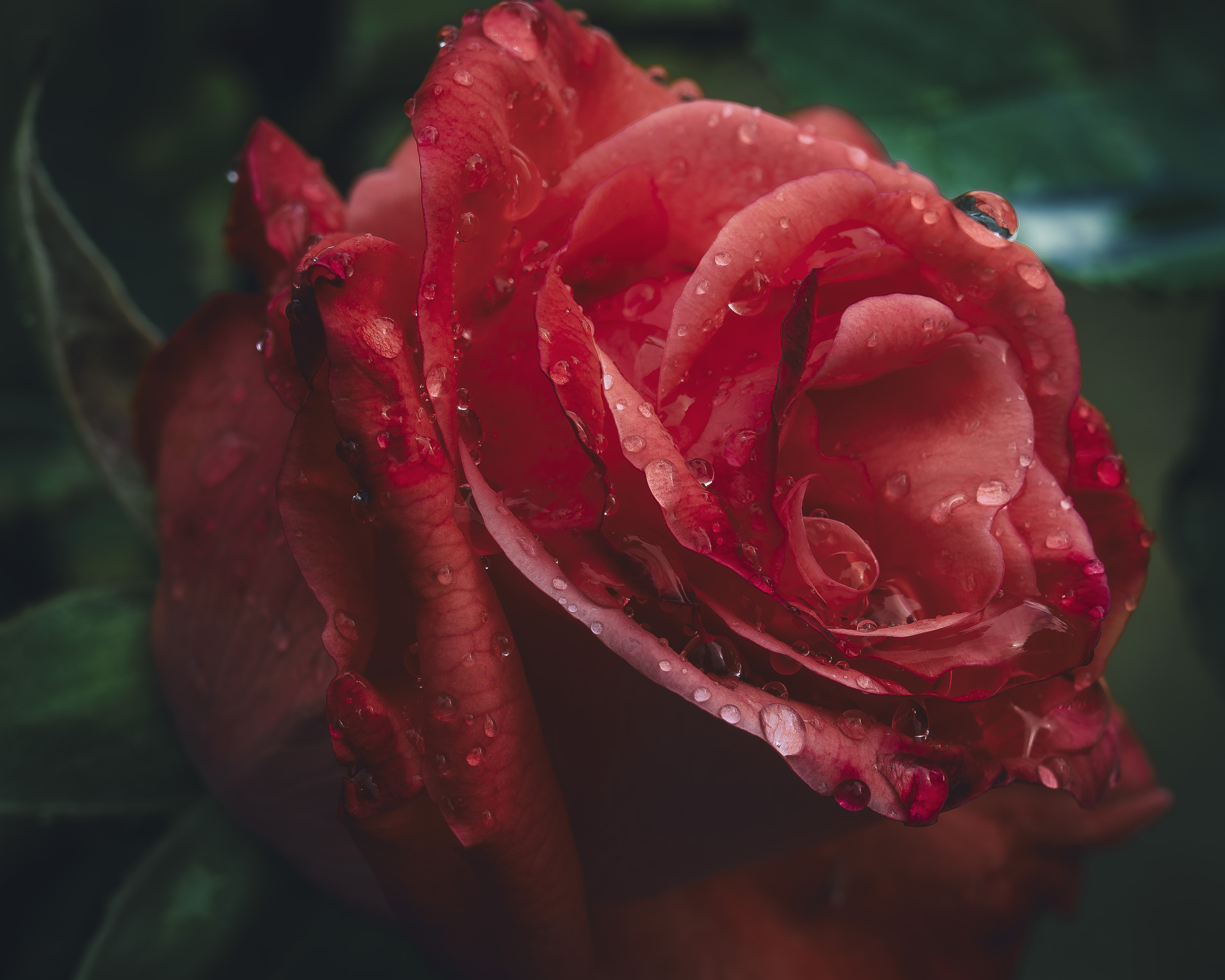 , Denis Cristian BURMELEAC