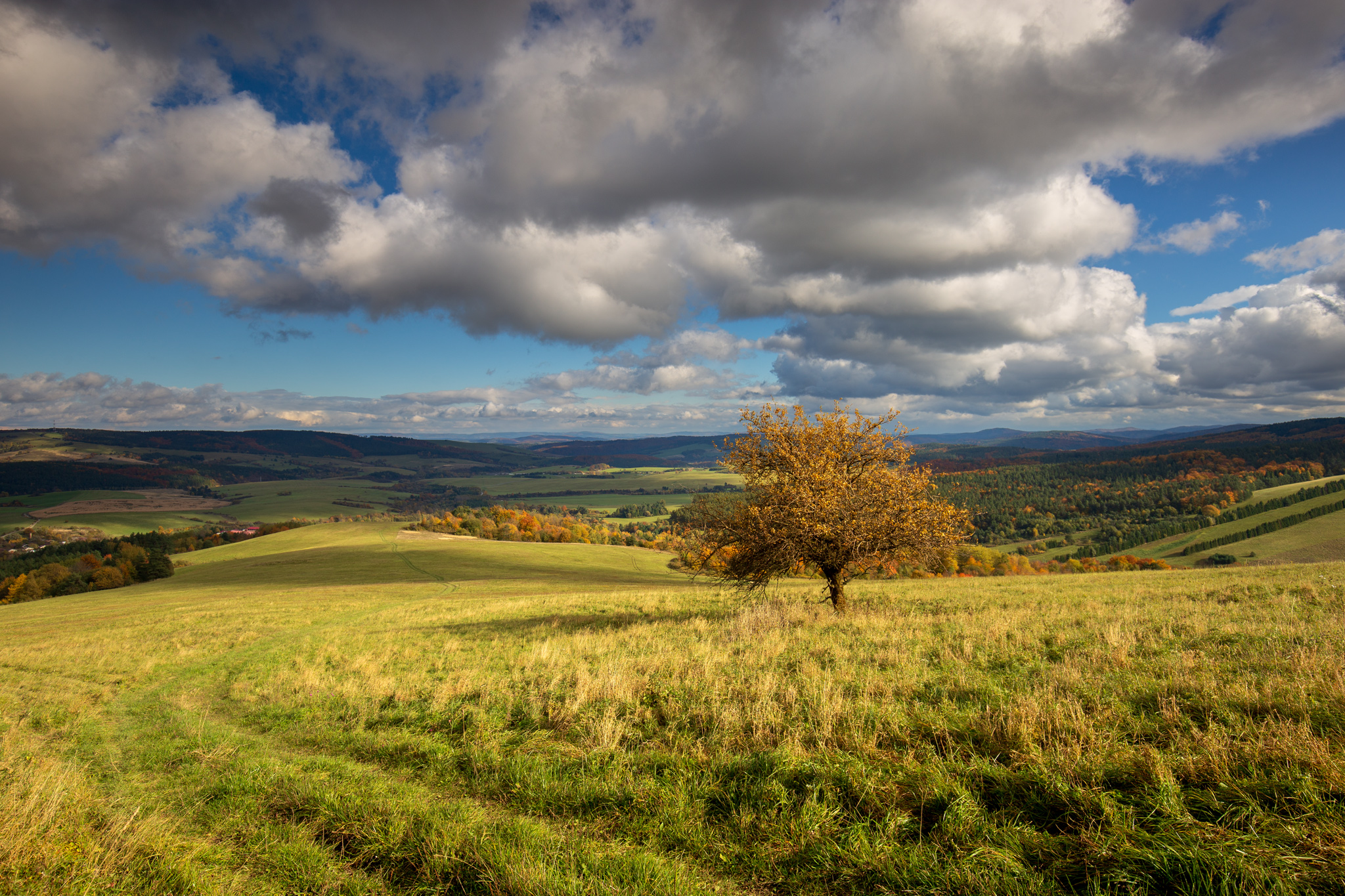,  Mirosław Pruchnicki