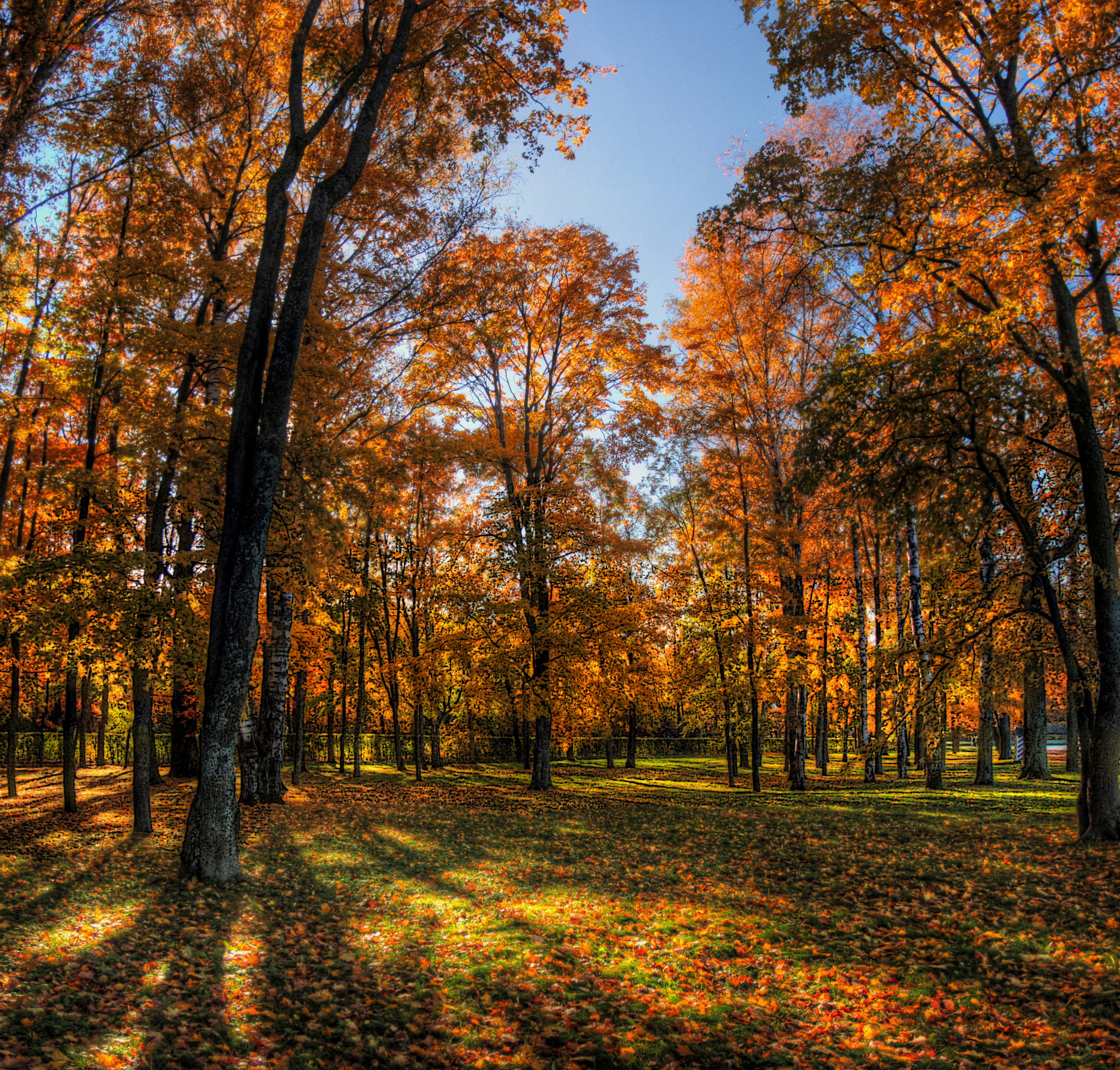 , Сергей Григорьев