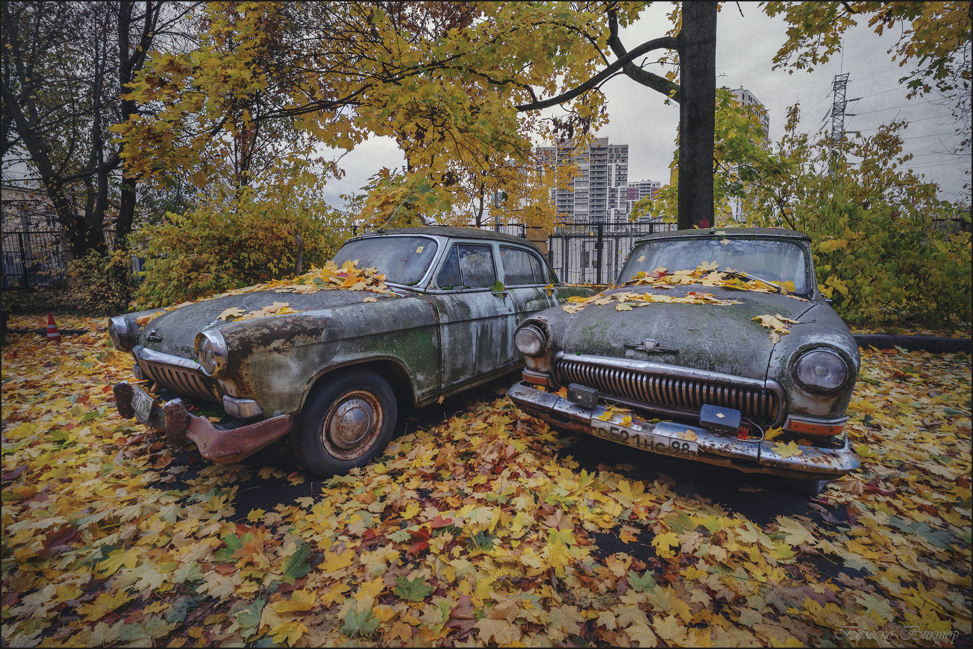 , Болеско Виктор