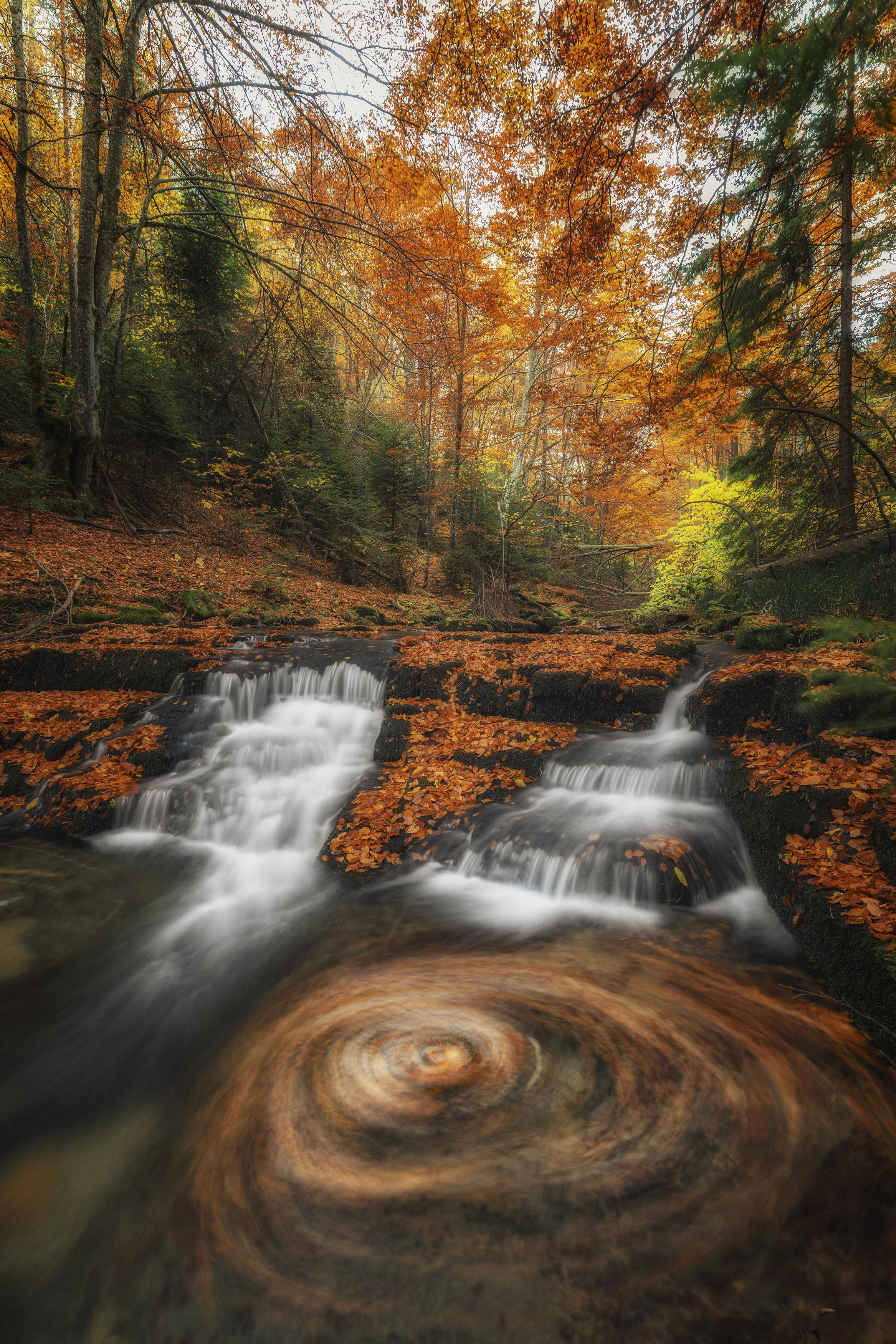 , Маджаров Костадин