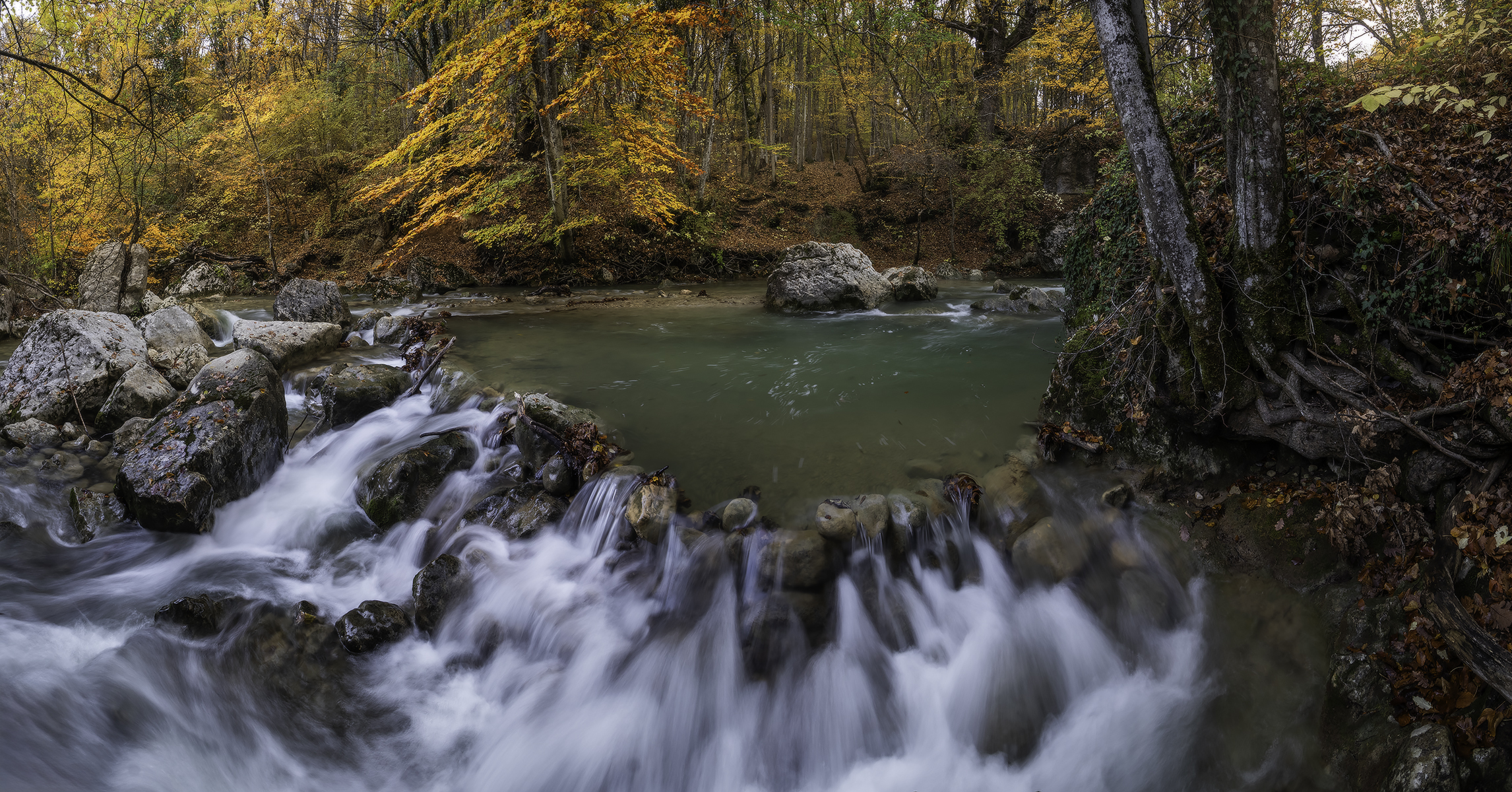 , Михаил Гапонов