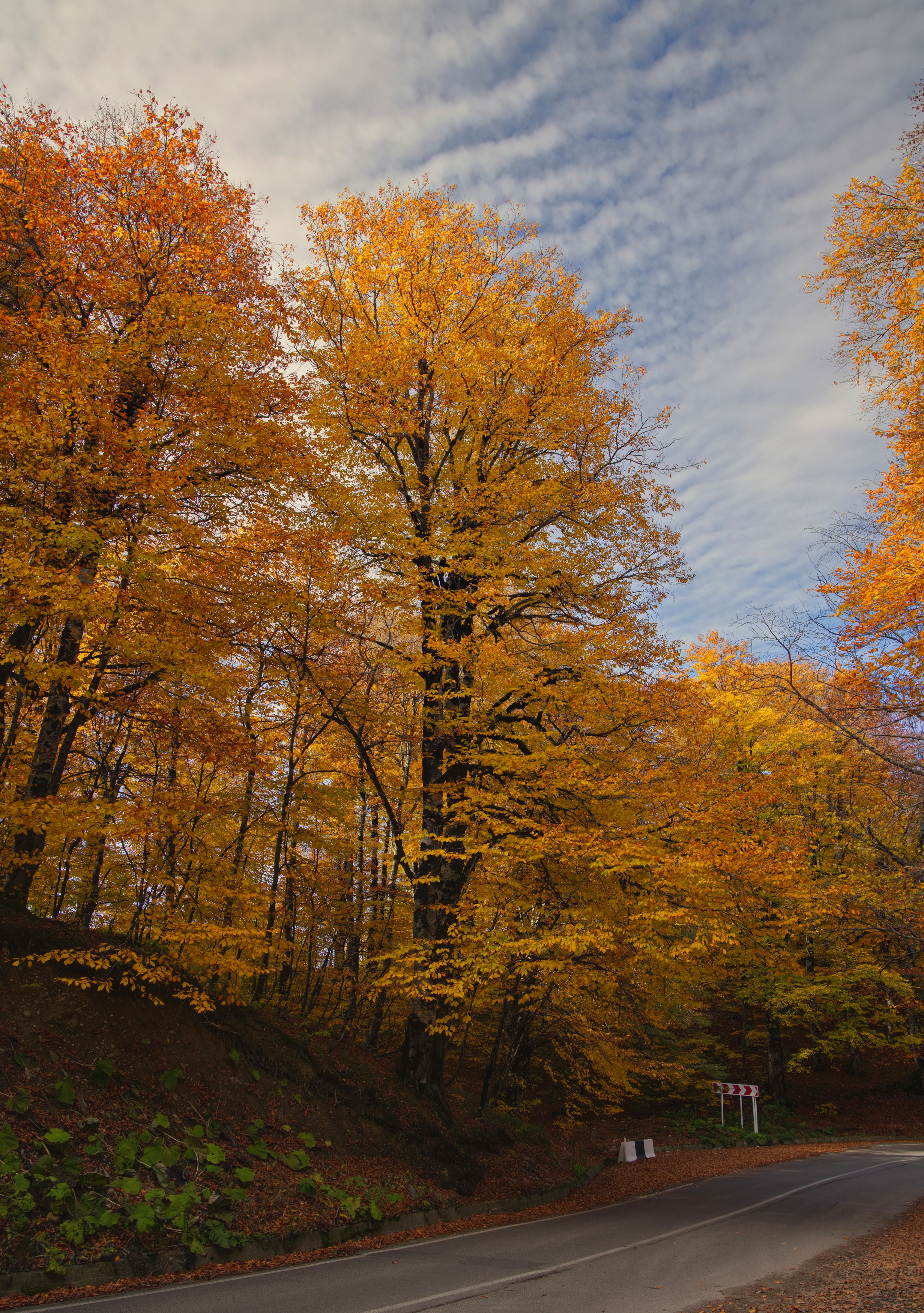 , Игорь Щербаков