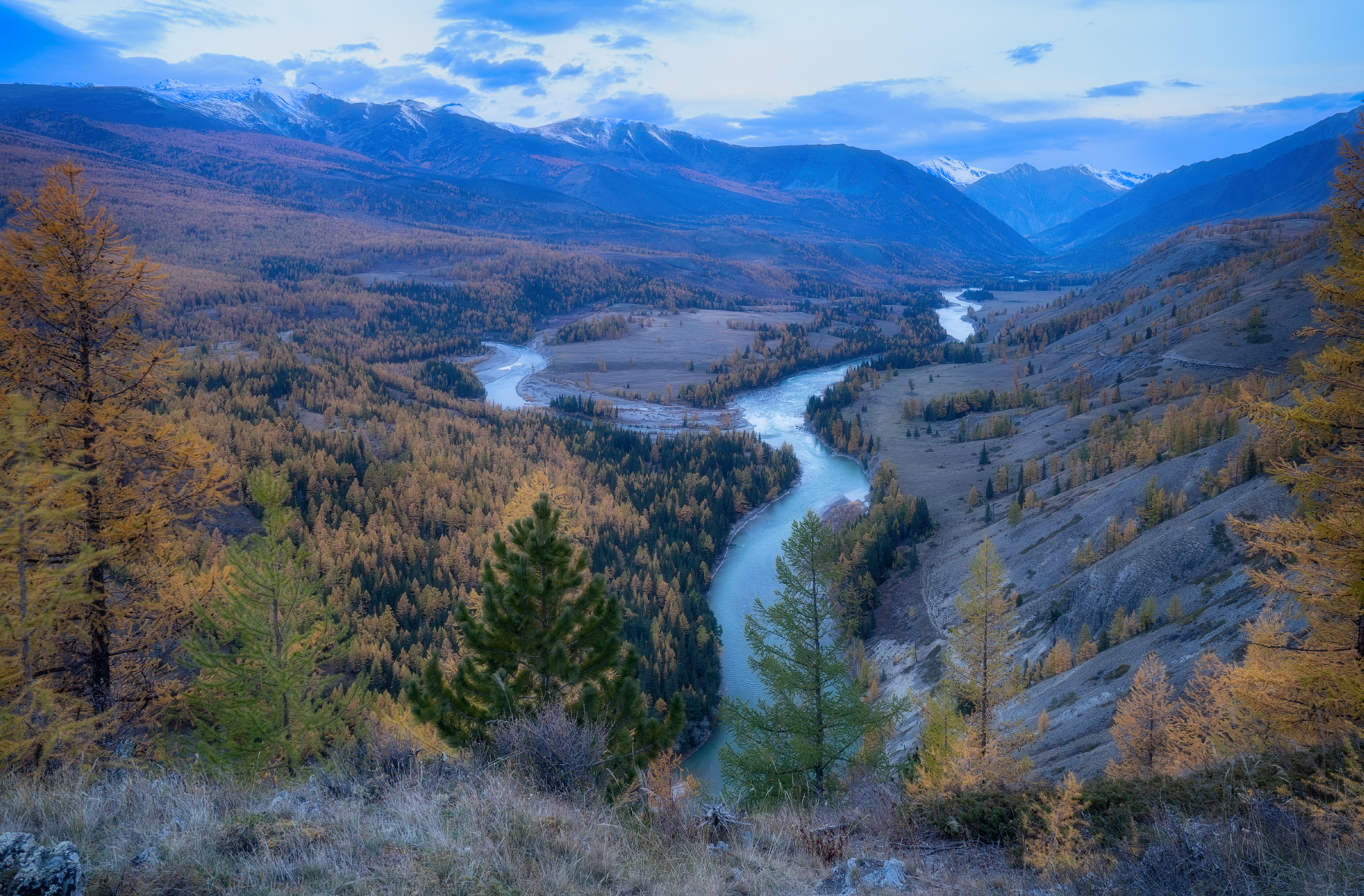 алтай горы лес утро пейзаж красивый излучины река, Татьяна Юганова