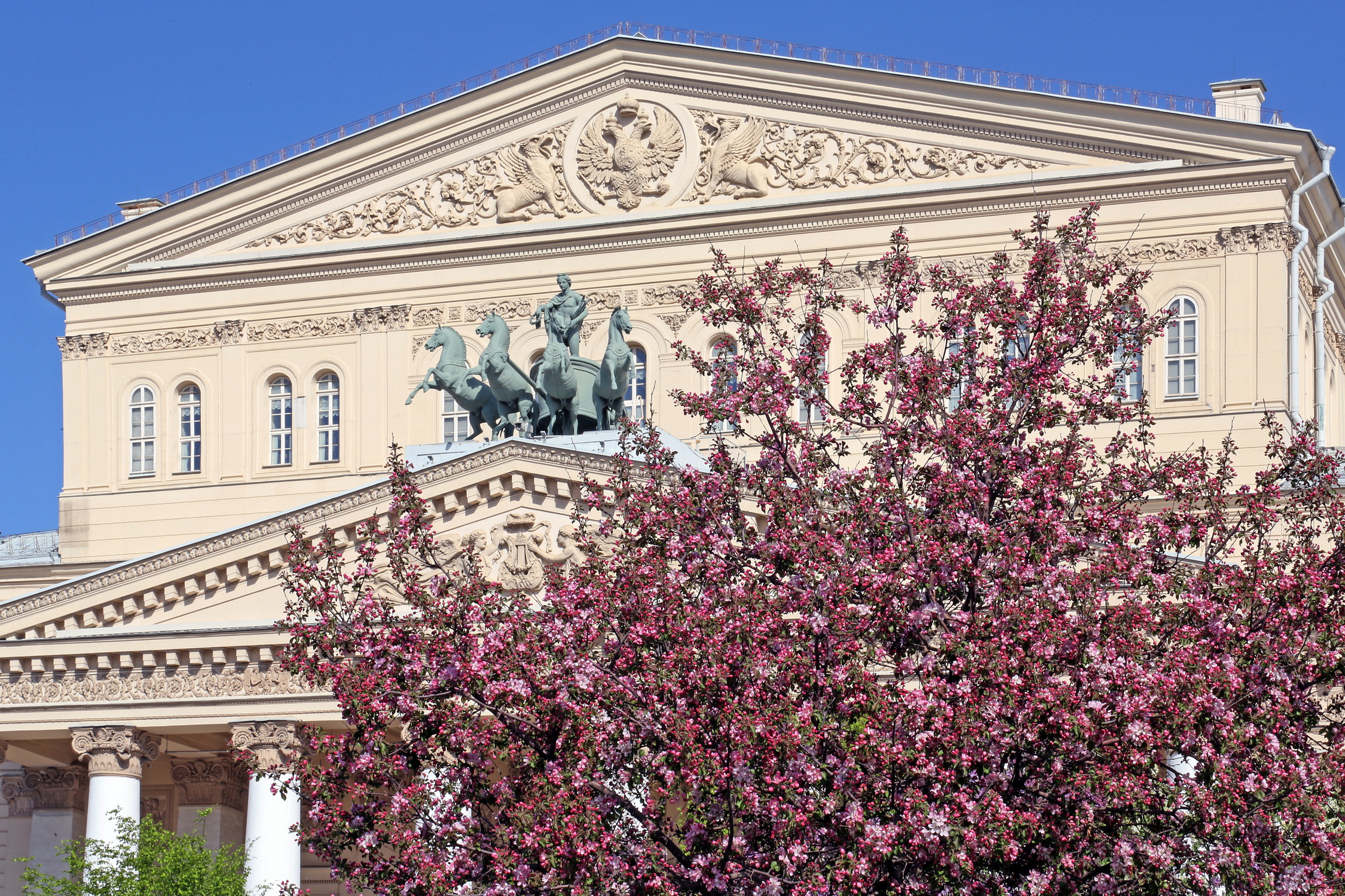 , Бибичков Михаил