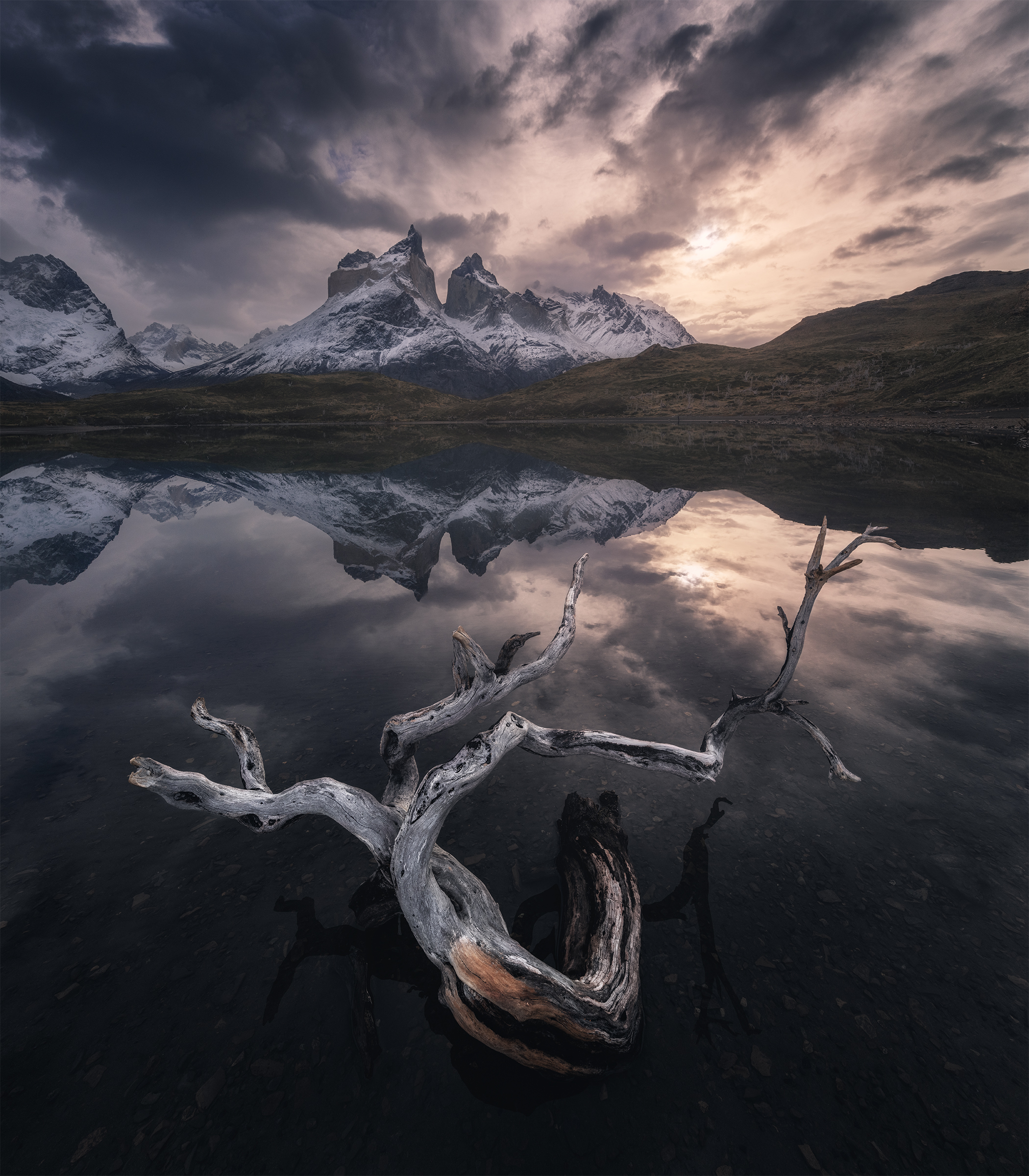 , Политова Анна