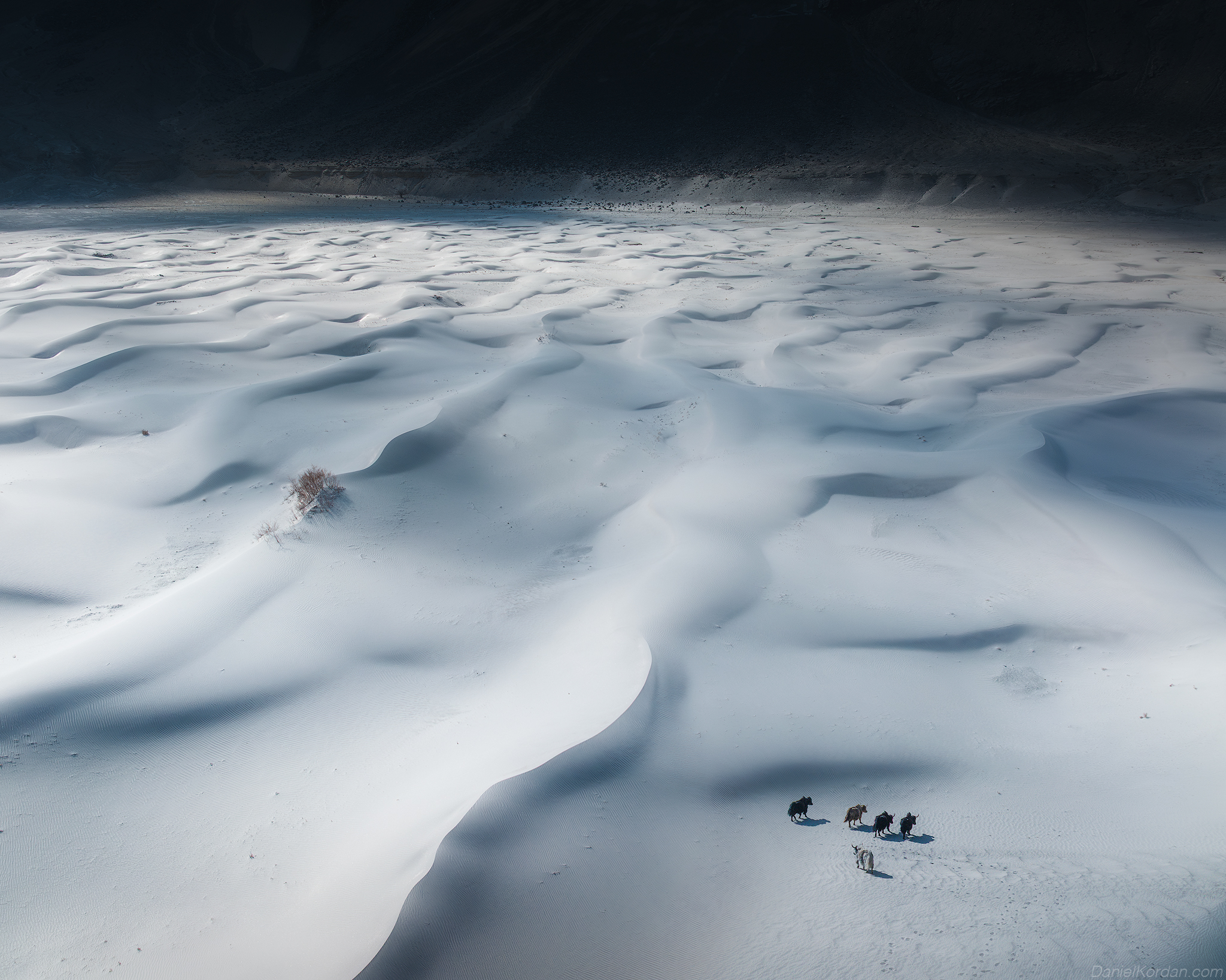 , Даниил Коржонов